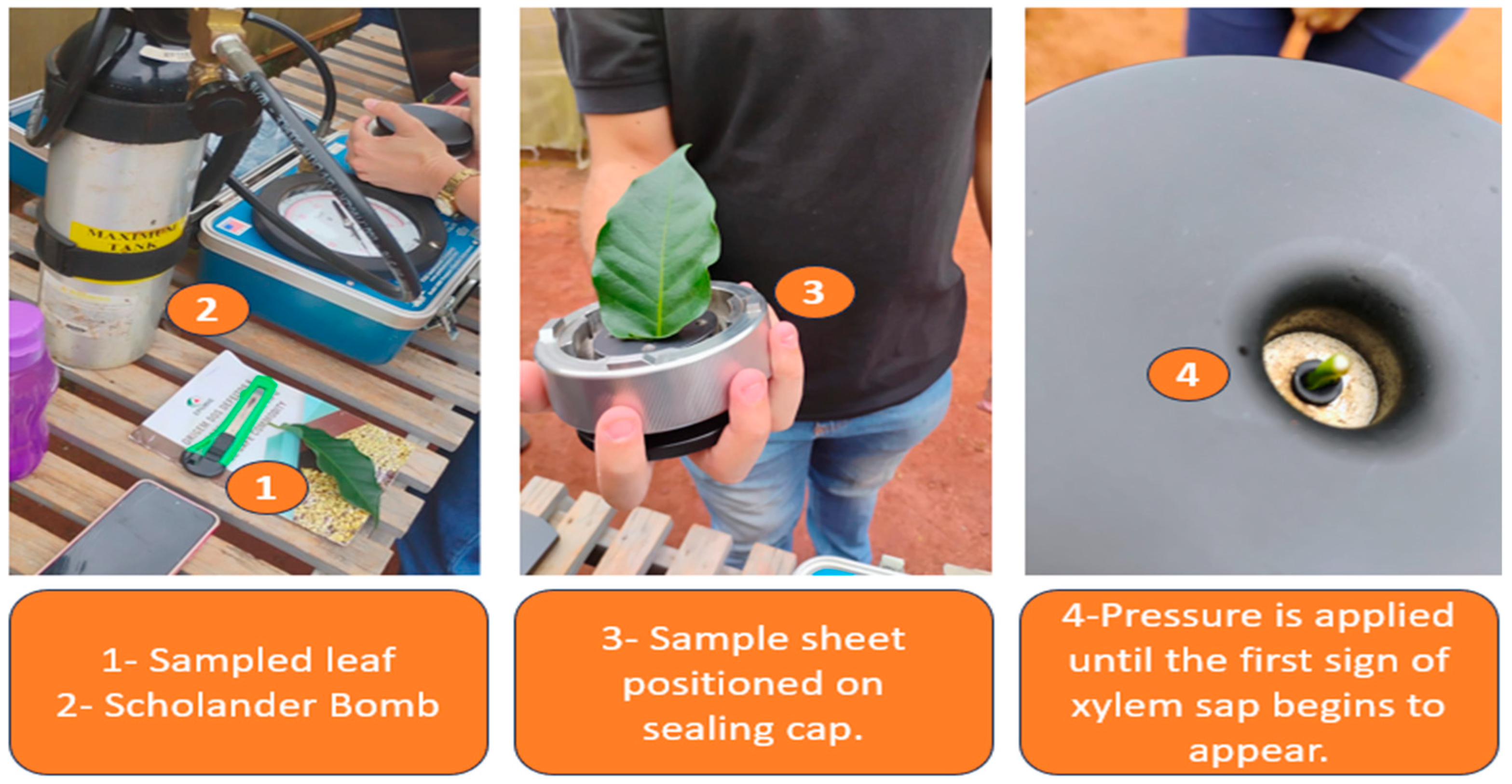 Drones 09 00717 g004