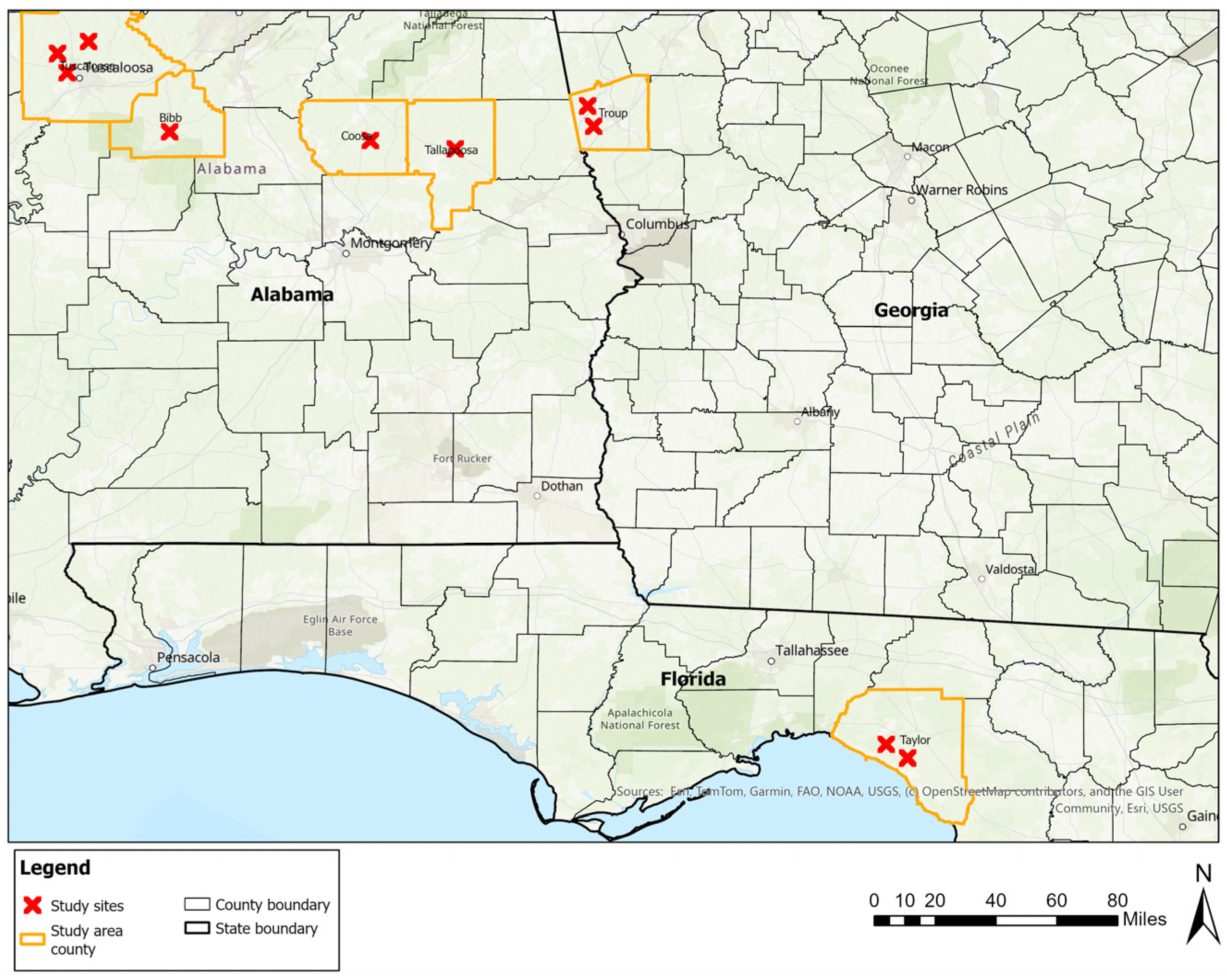 Drones 09 00756 g001