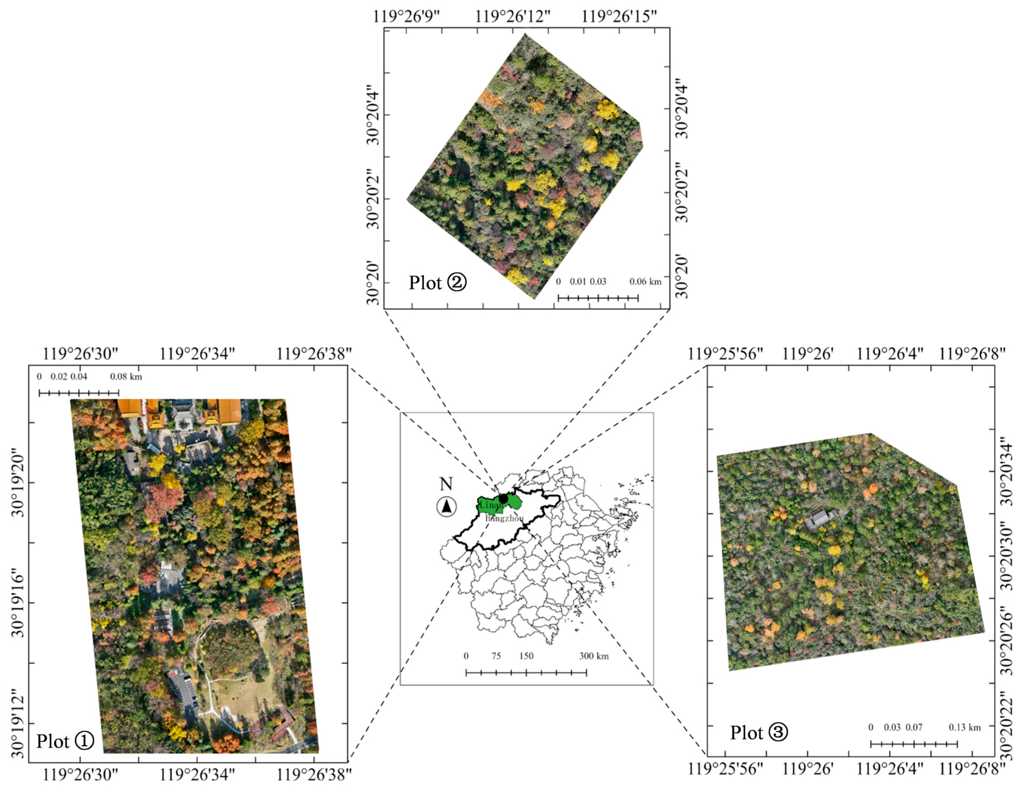 Drones 09 00773 g001