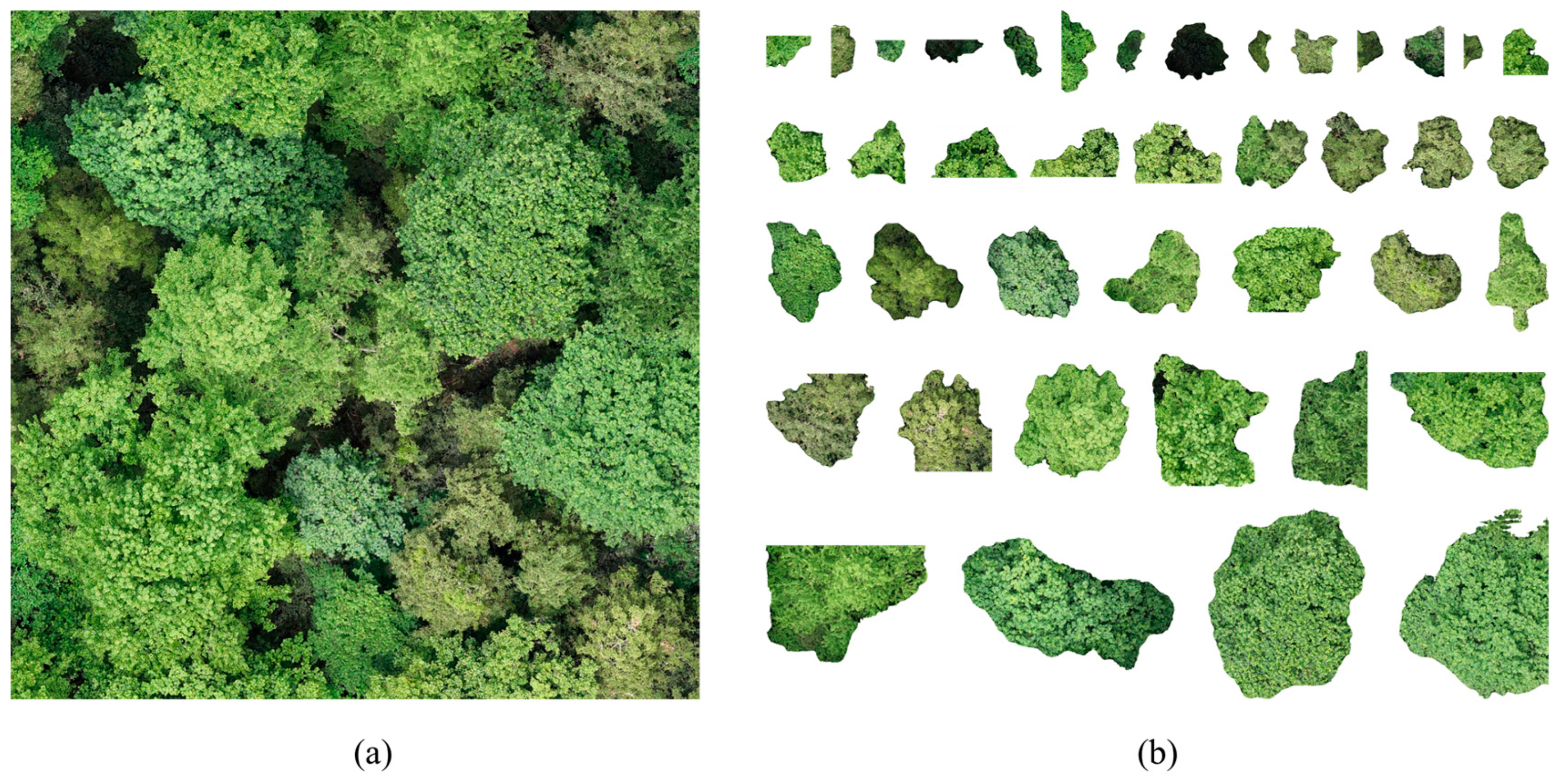 Drones 09 00773 g012