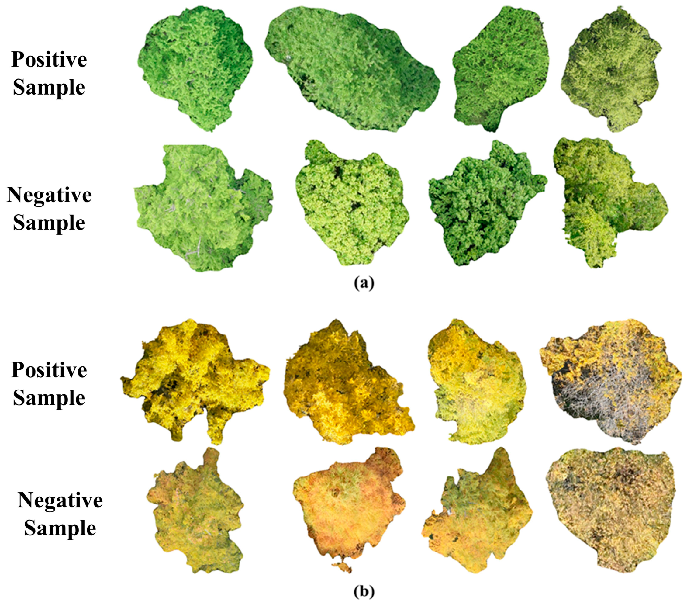 Drones 09 00773 g013