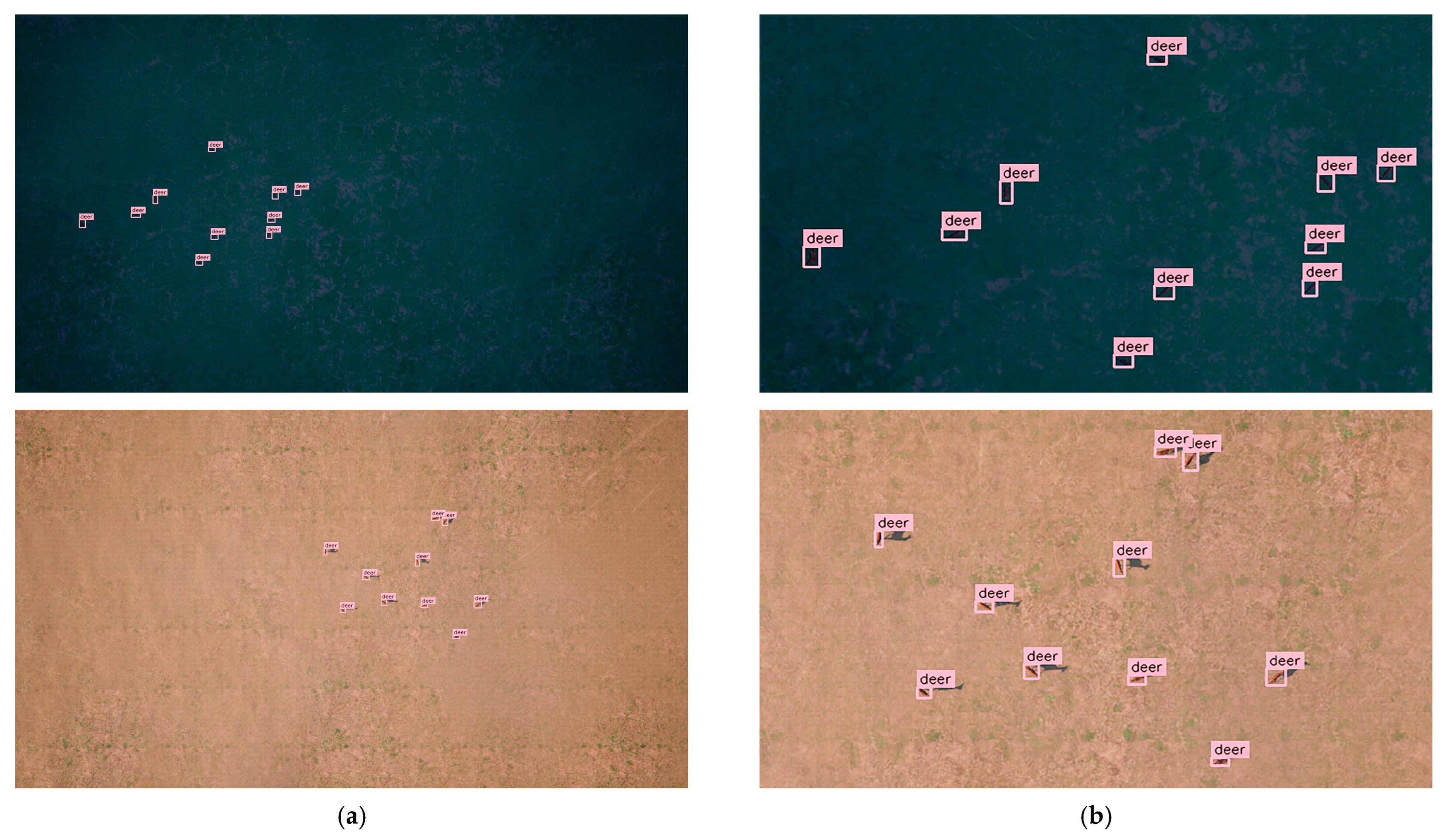 Drones 10 00029 g003b