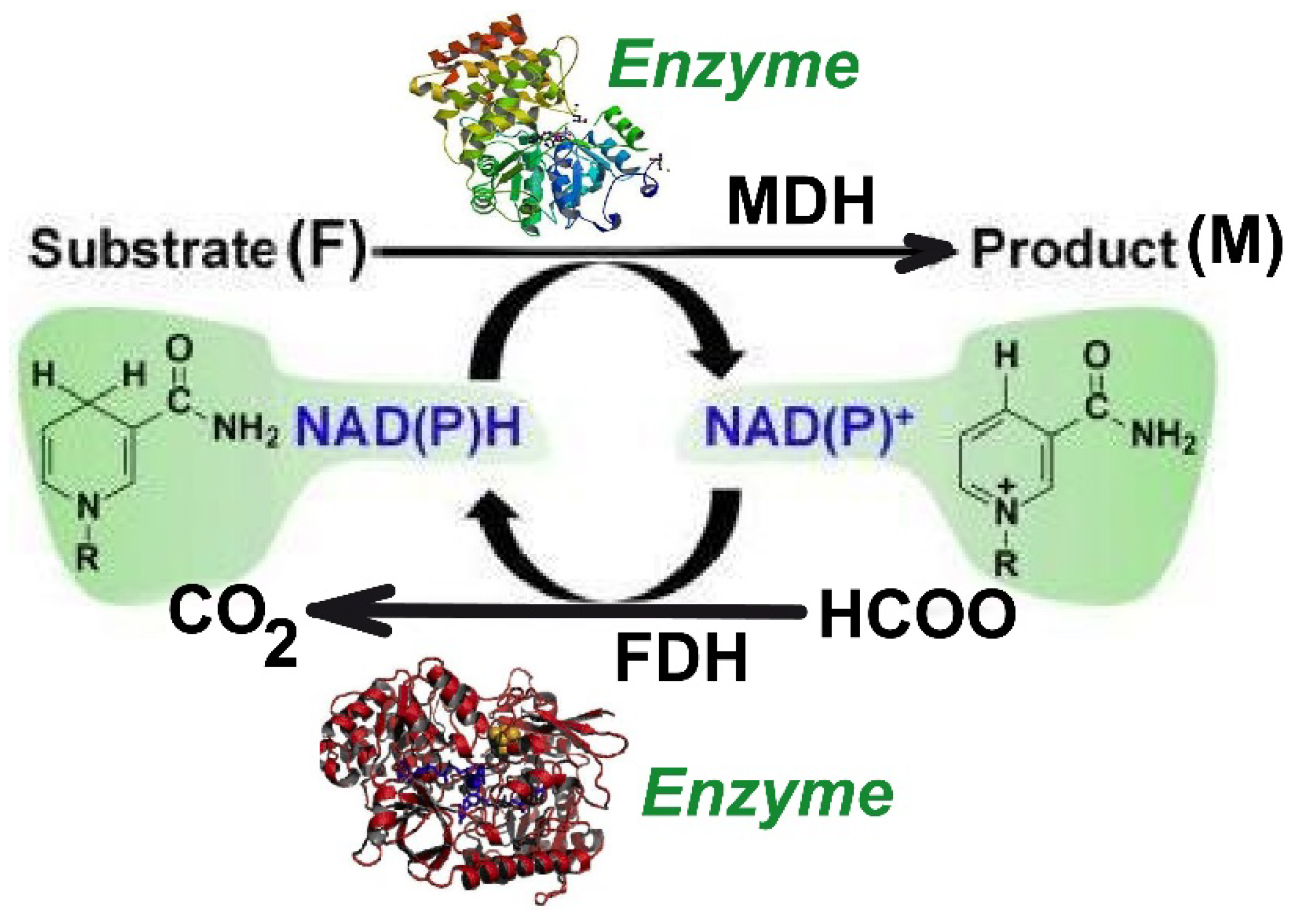 Dynamics 01 00008 g003