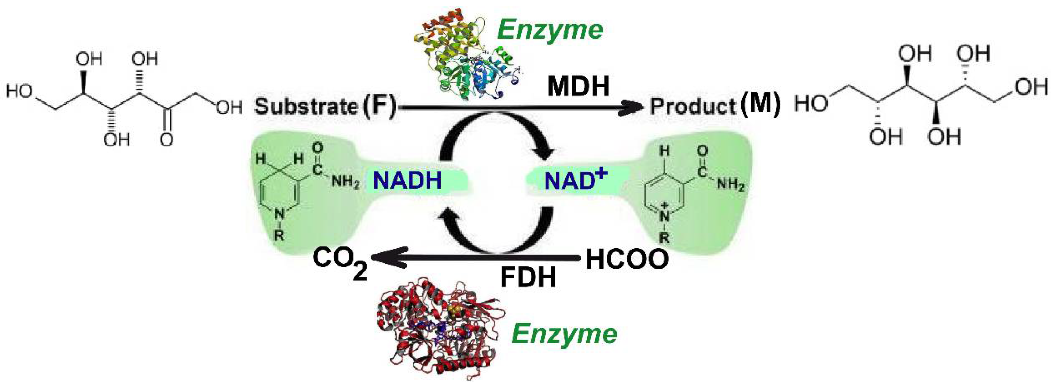 Dynamics 02 00014 g001 Dynamics 02 00014 g001