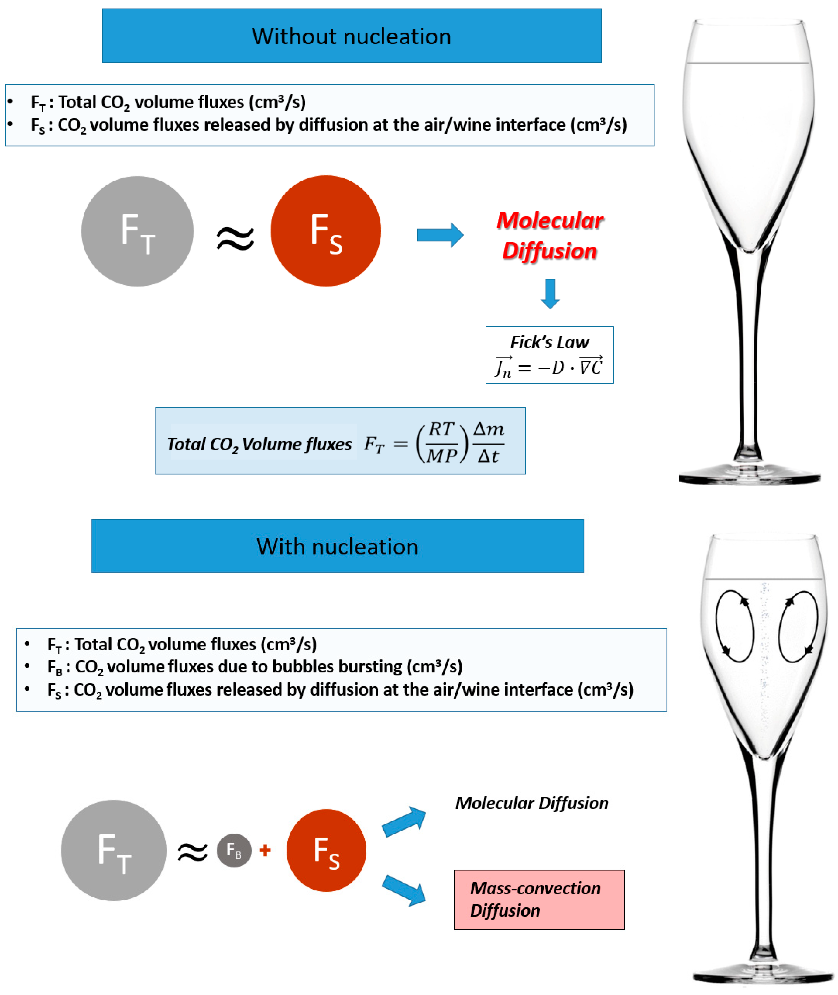 The Science Behind Champagne Bubbles, Innovation