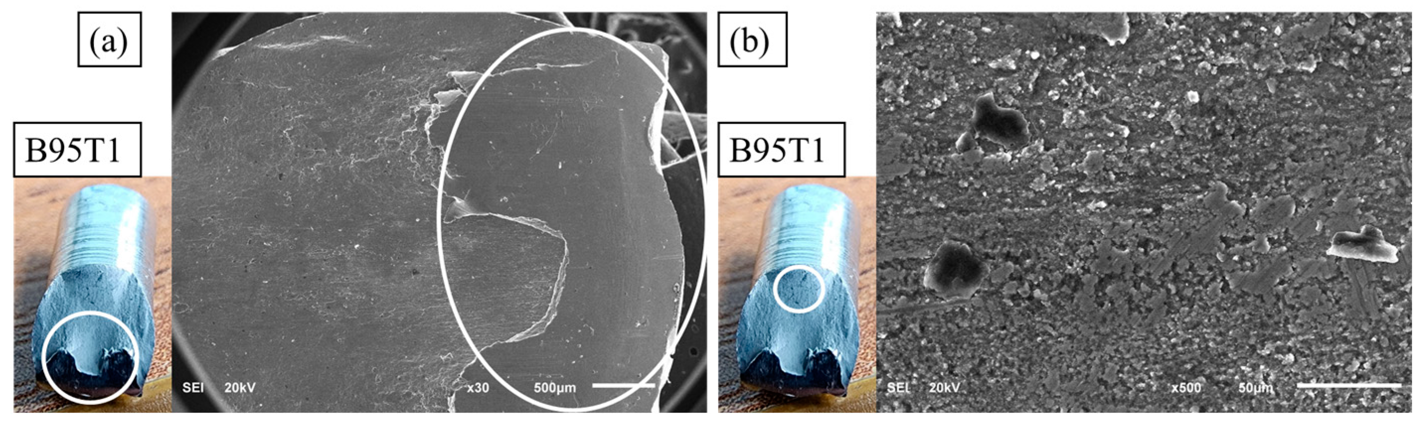 Dynamics 05 00006 g007