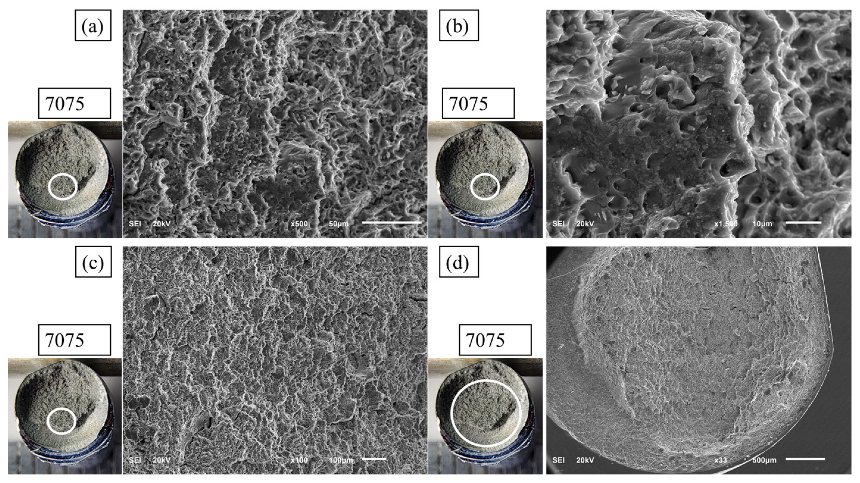 Dynamics 05 00006 g008