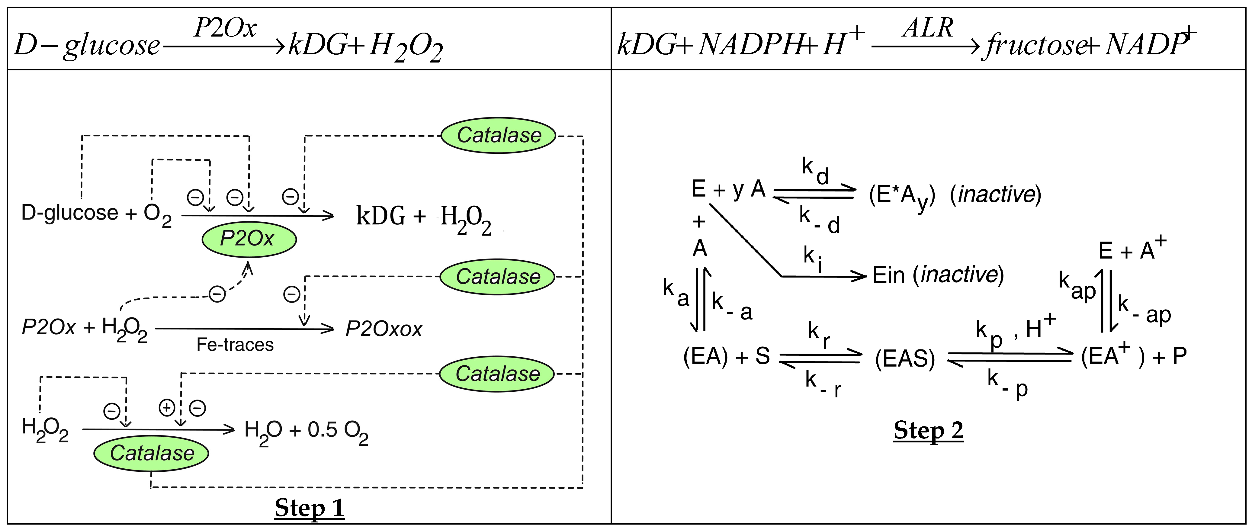 Dynamics 05 00010 g001