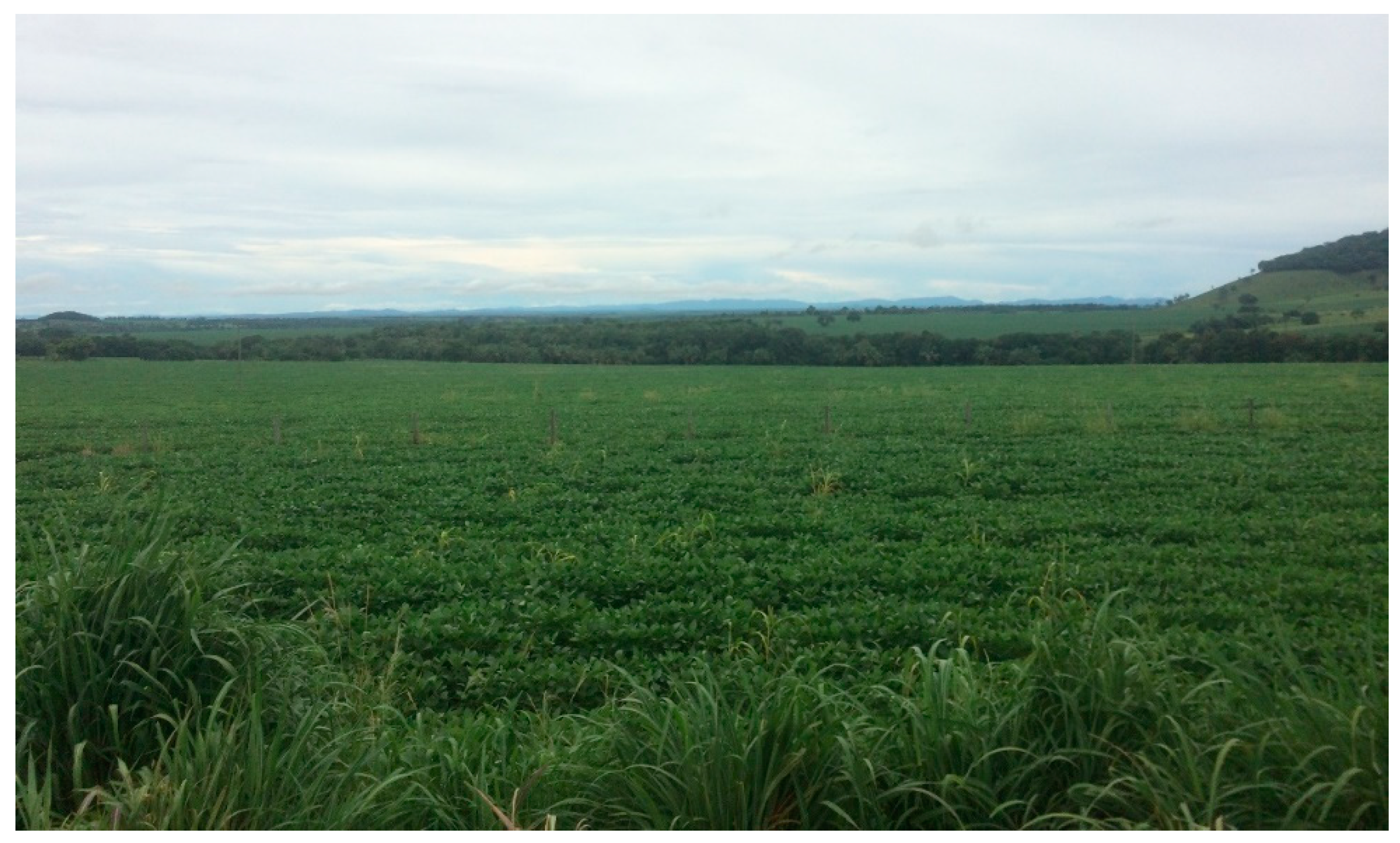 Earth 02 00064 g010 550