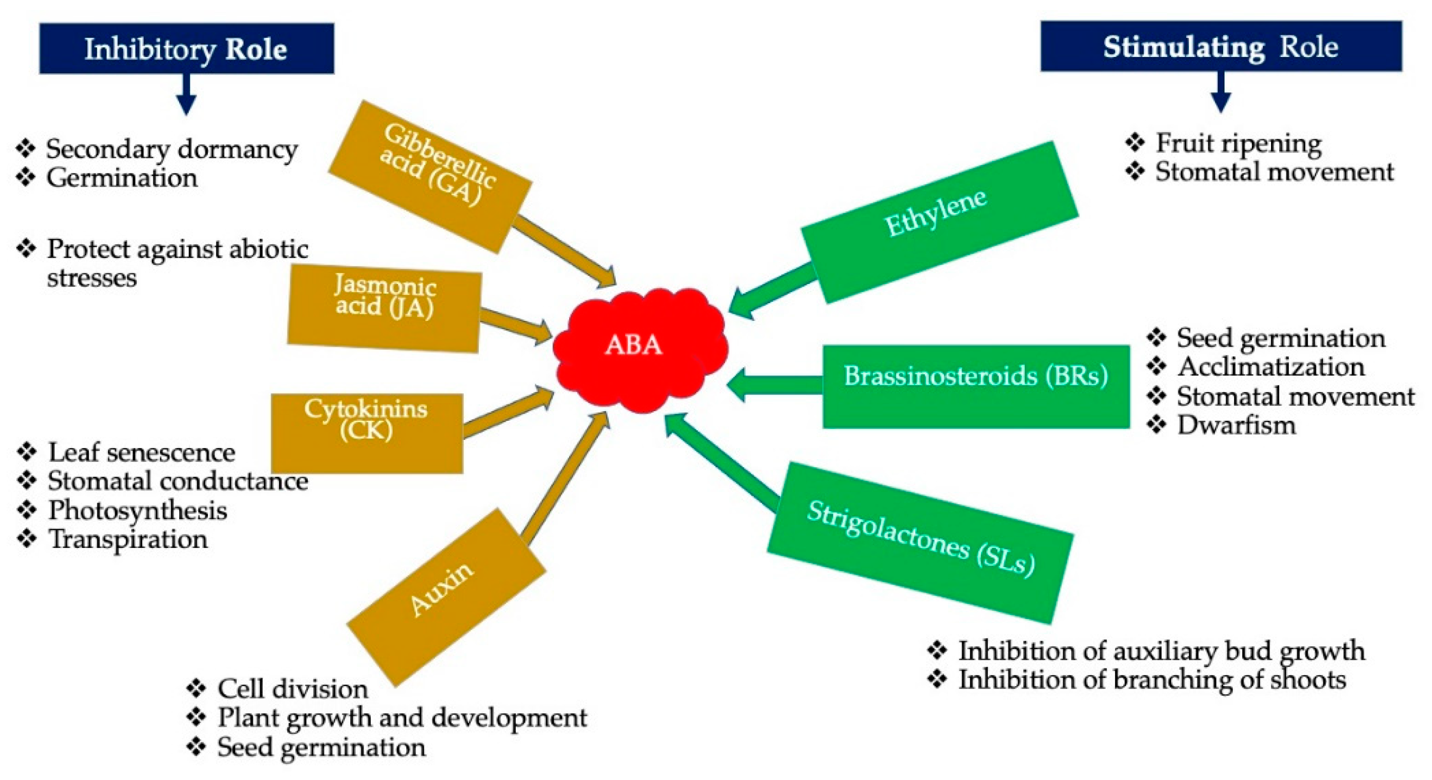 Earth 03 00004 g005 Earth 03 00004 g005