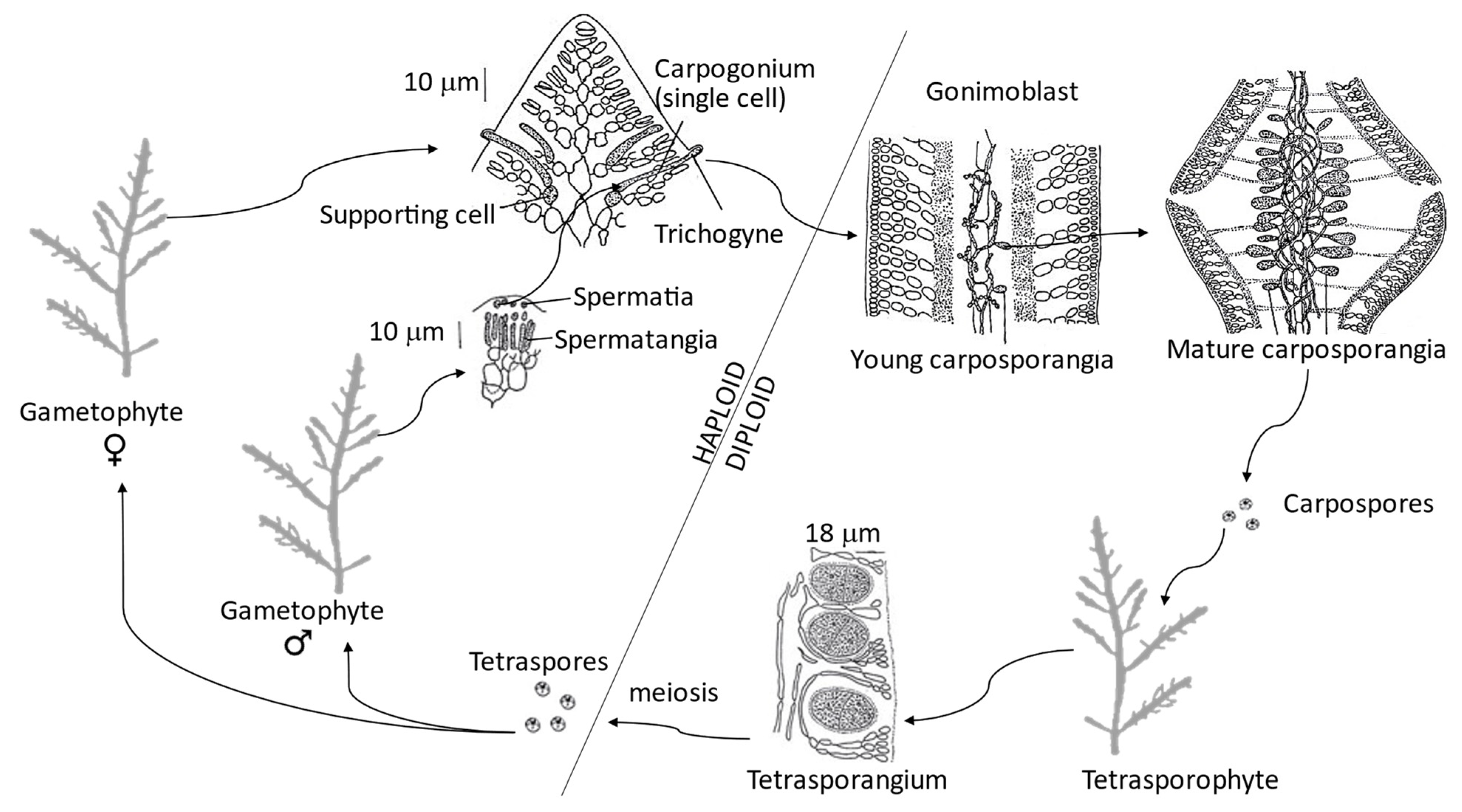 Earth 03 00045 g003 Earth 03 00045 g003