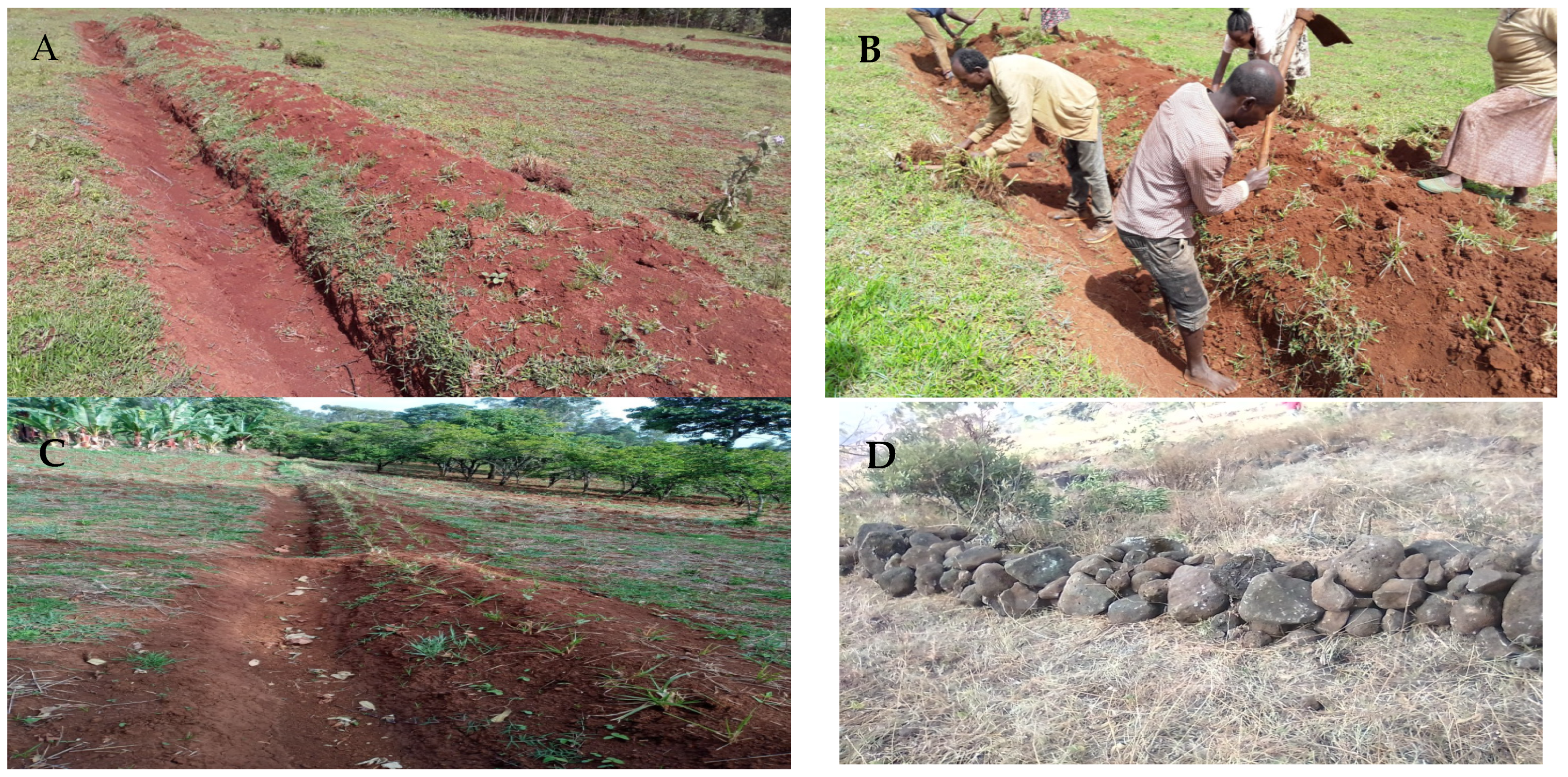 Earth 04 00017 g003 Earth 04 00017 g003