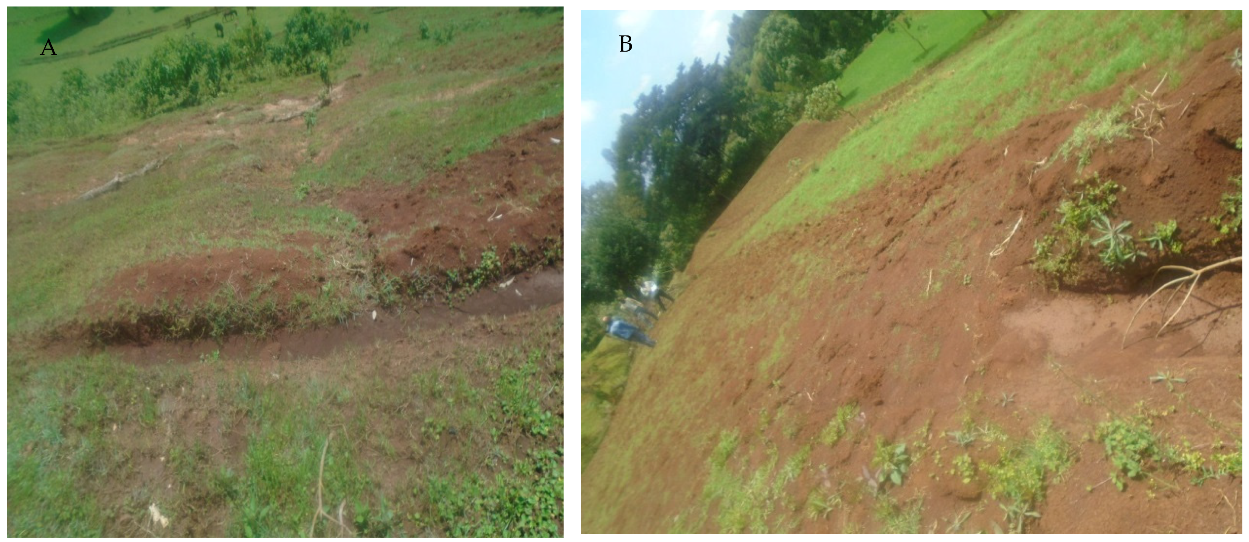 Earth 04 00017 g004 Earth 04 00017 g004