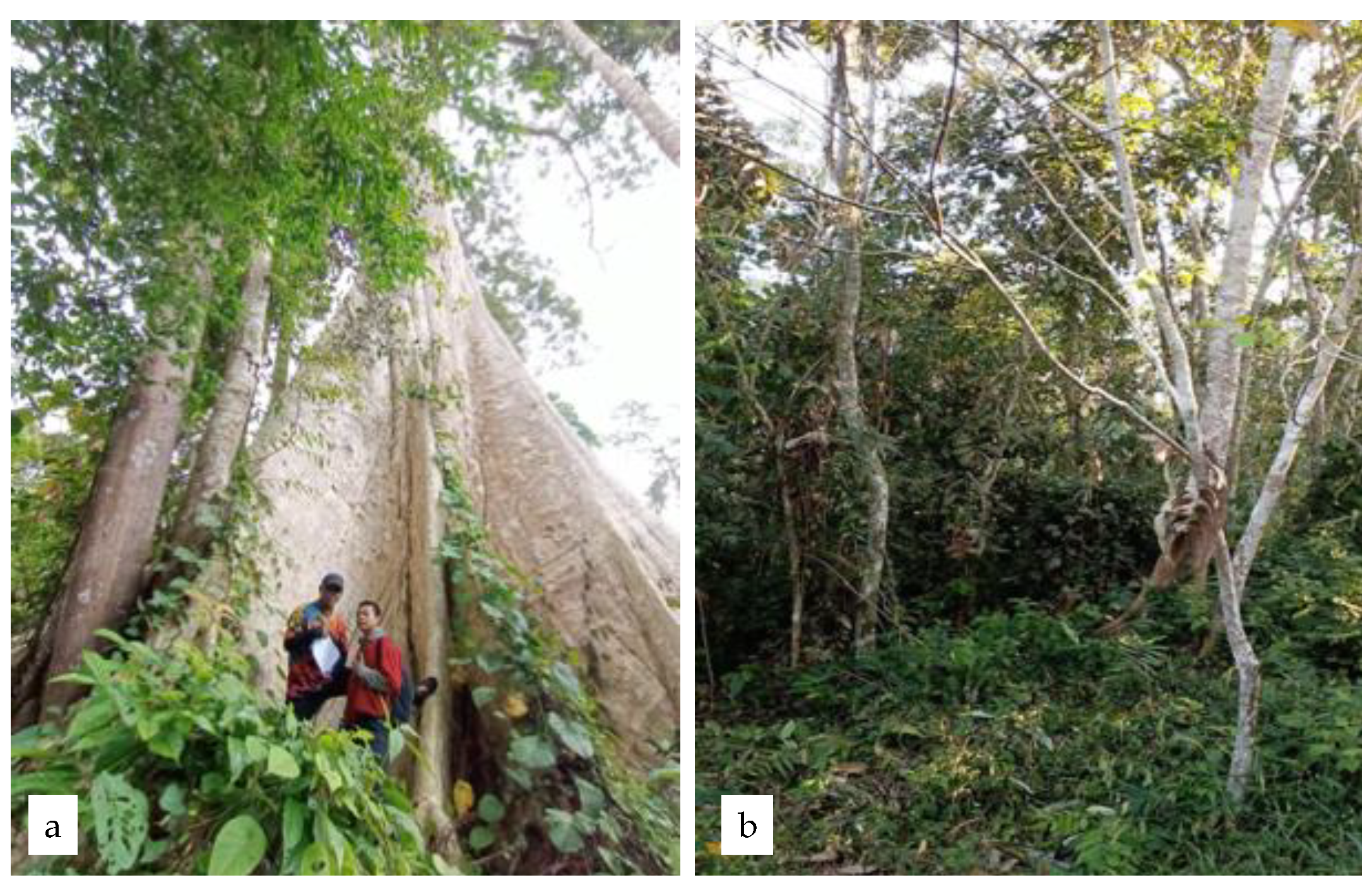 Earth 04 00035 g003 Earth 04 00035 g003