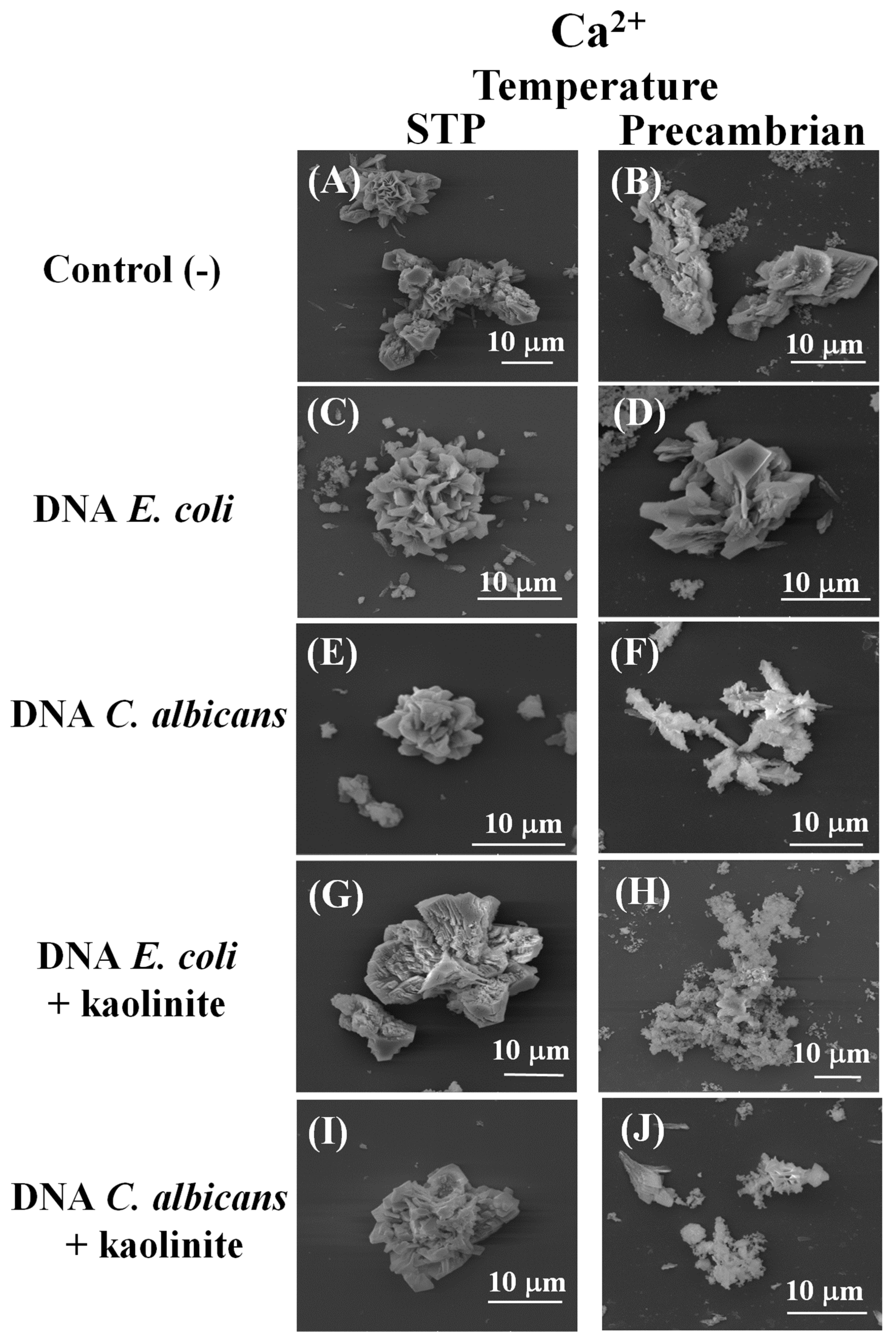 Earth 05 00016 g001 Earth 05 00016 g001