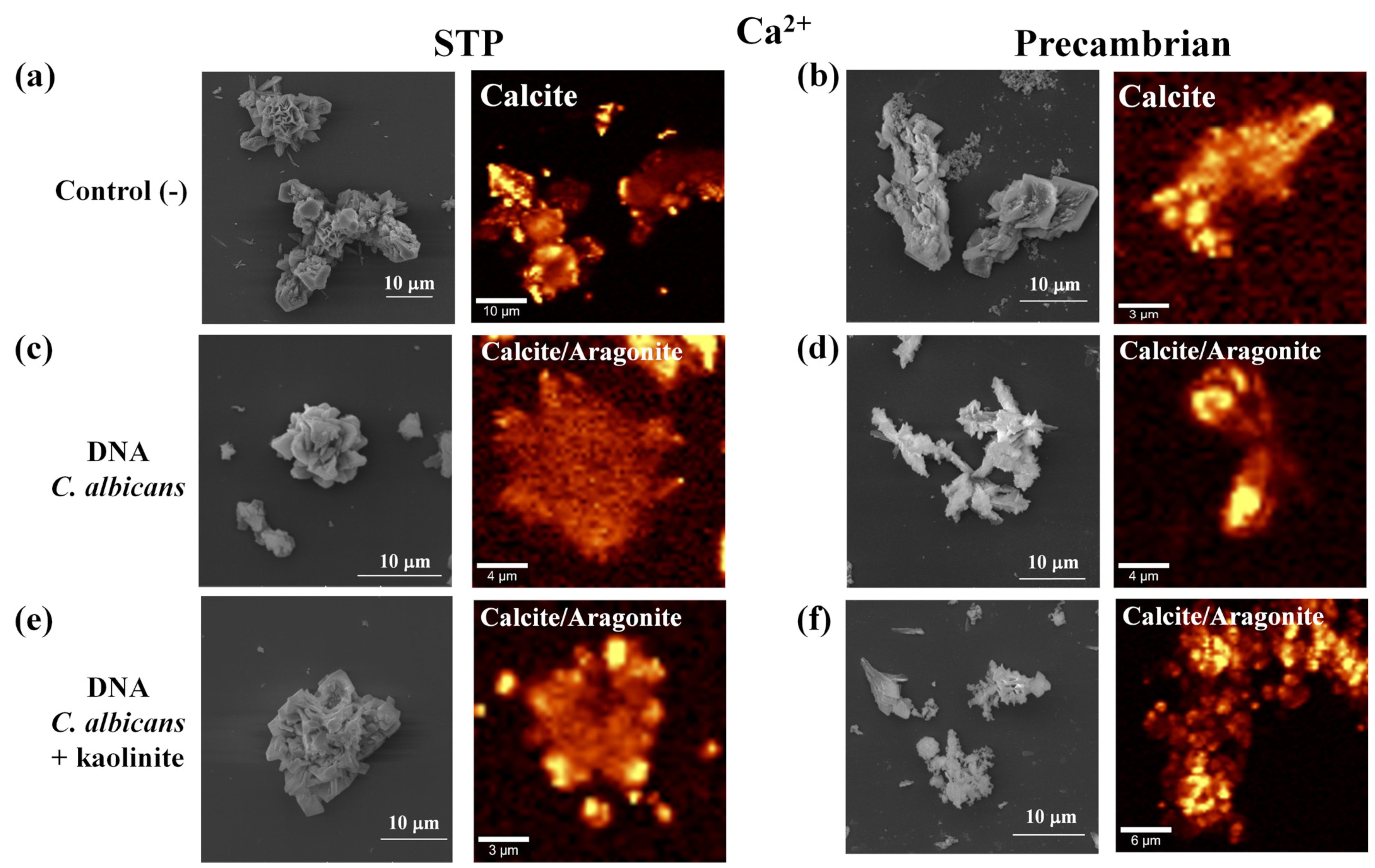 Earth 05 00016 g003 Earth 05 00016 g003