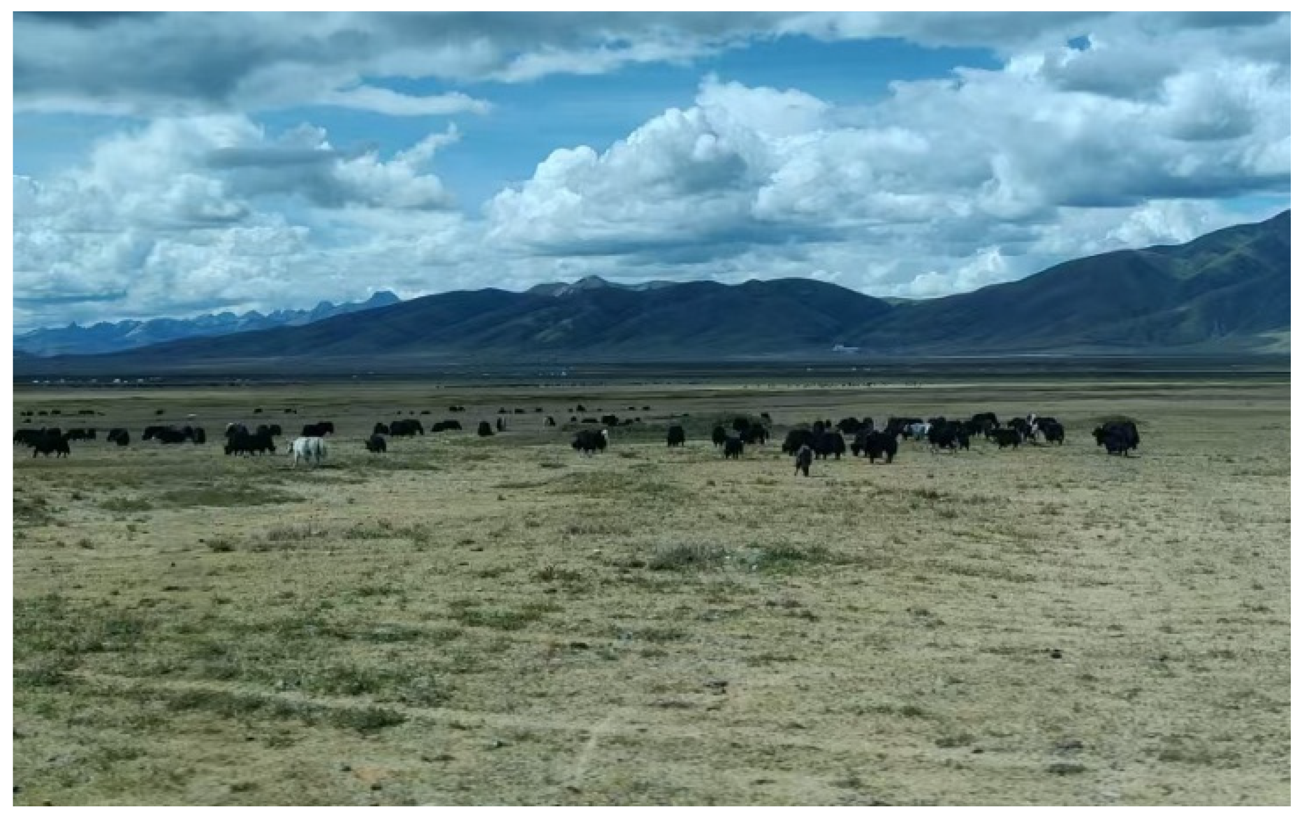 Earth 06 00092 g014 Earth 06 00092 g014