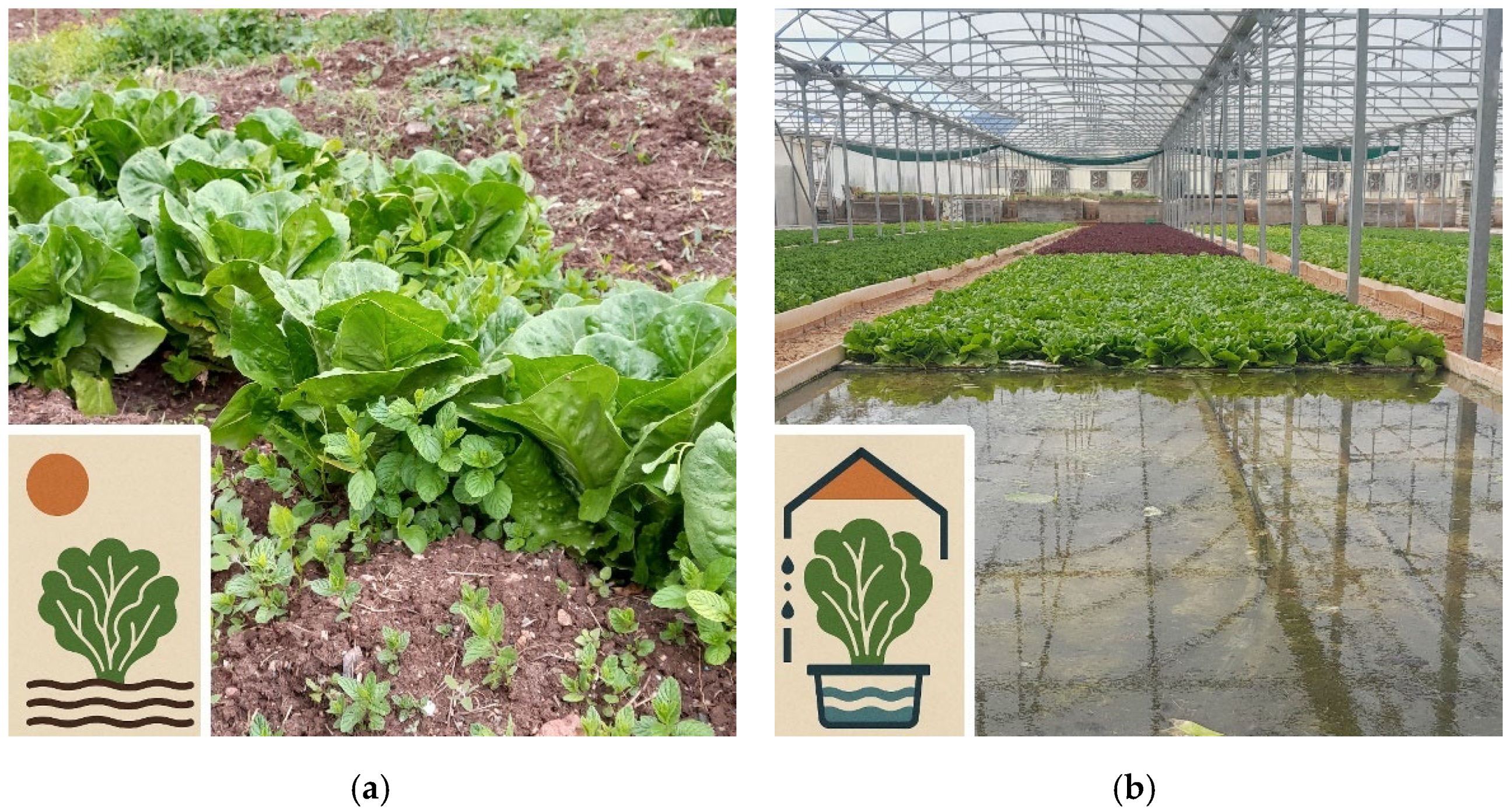 Earth 06 00095 g002 Earth 06 00095 g002