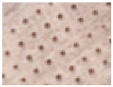 Earth 06 00107 i004 Earth 06 00107 i004