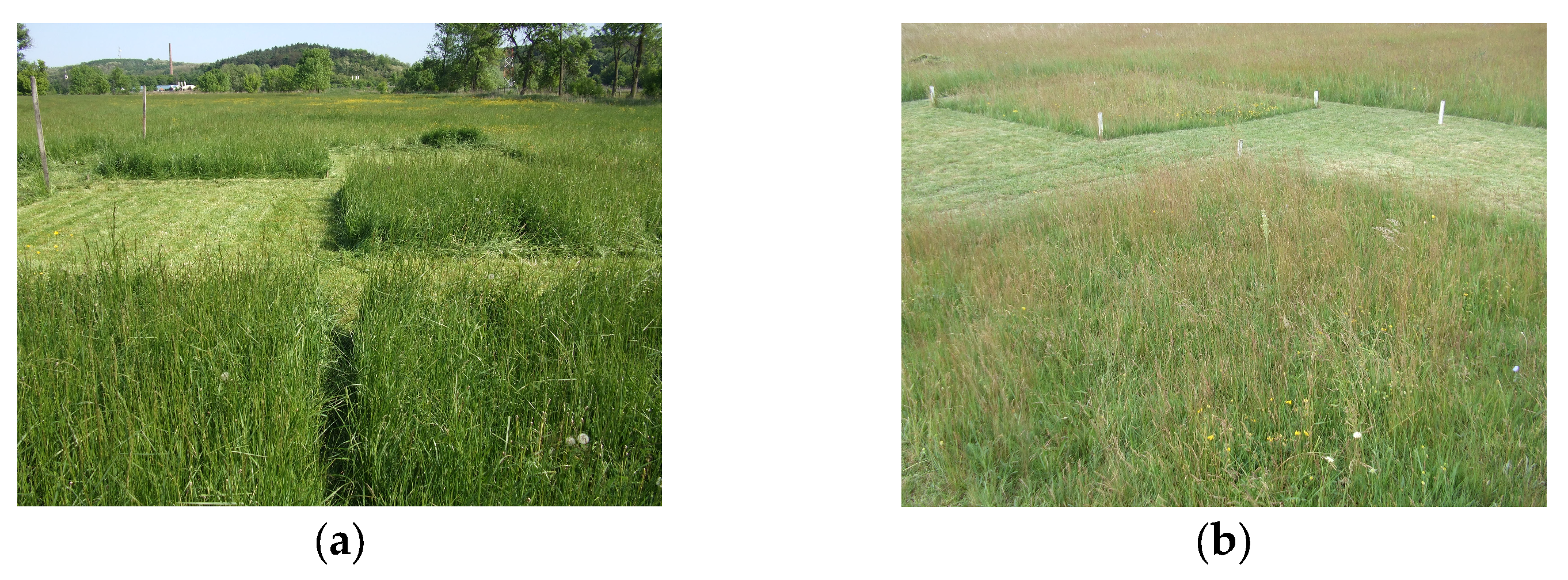 Earth 06 00119 g001 Earth 06 00119 g001