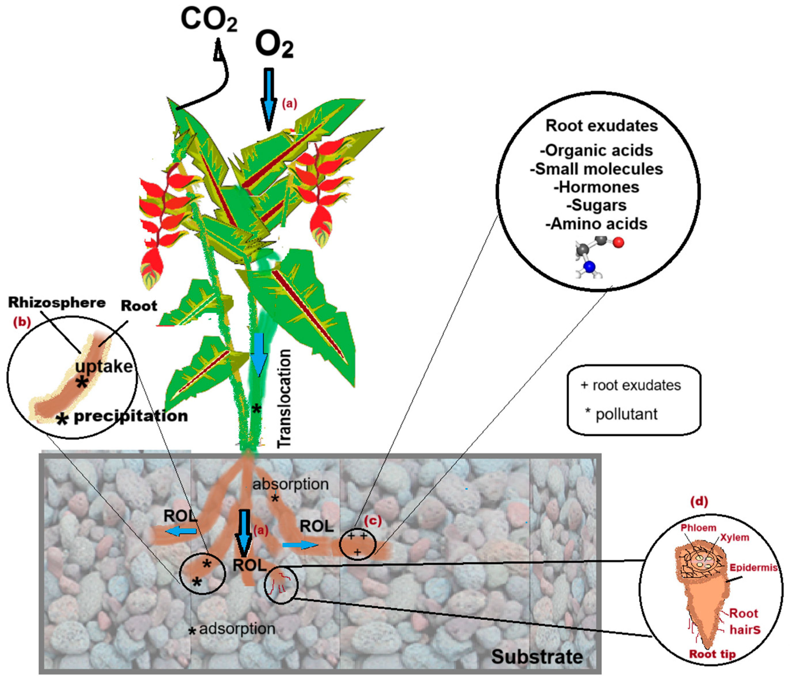 Earth 06 00126 g003 Earth 06 00126 g003