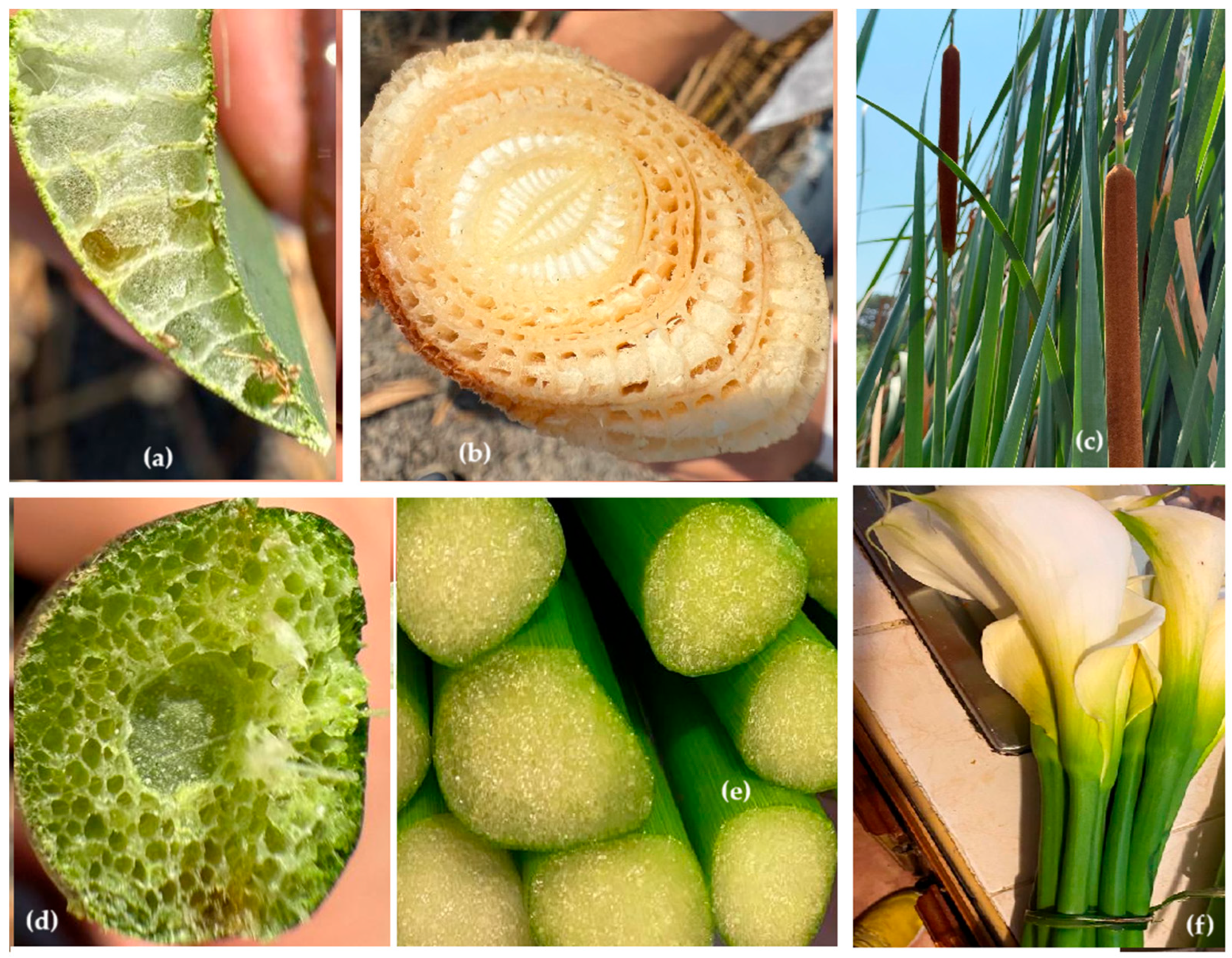 Earth 06 00126 g004 Earth 06 00126 g004