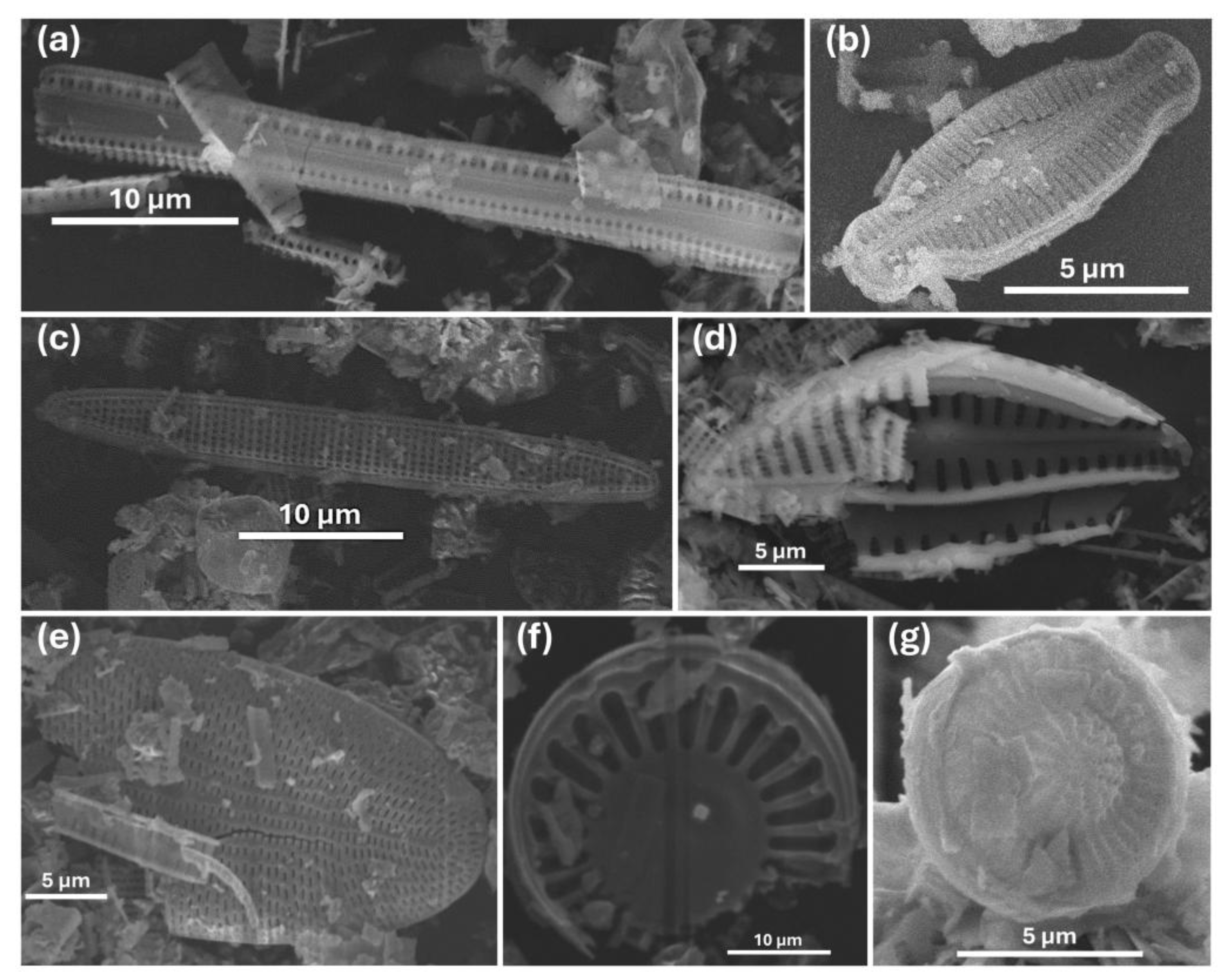 Earth 07 00005 g004 Earth 07 00005 g004