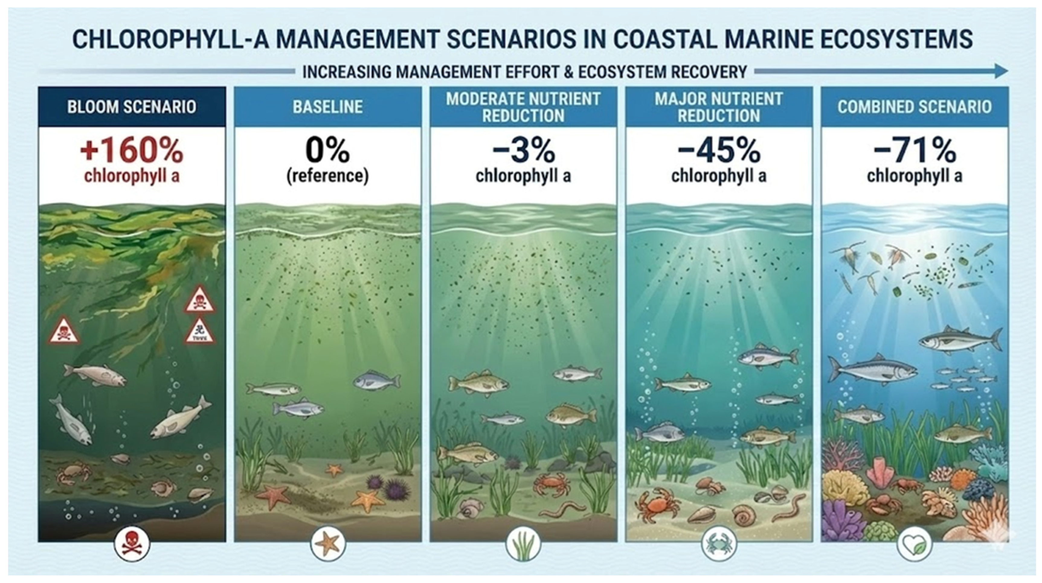 Smart Solutions for Mitigating Eutrophication in the Romanian
