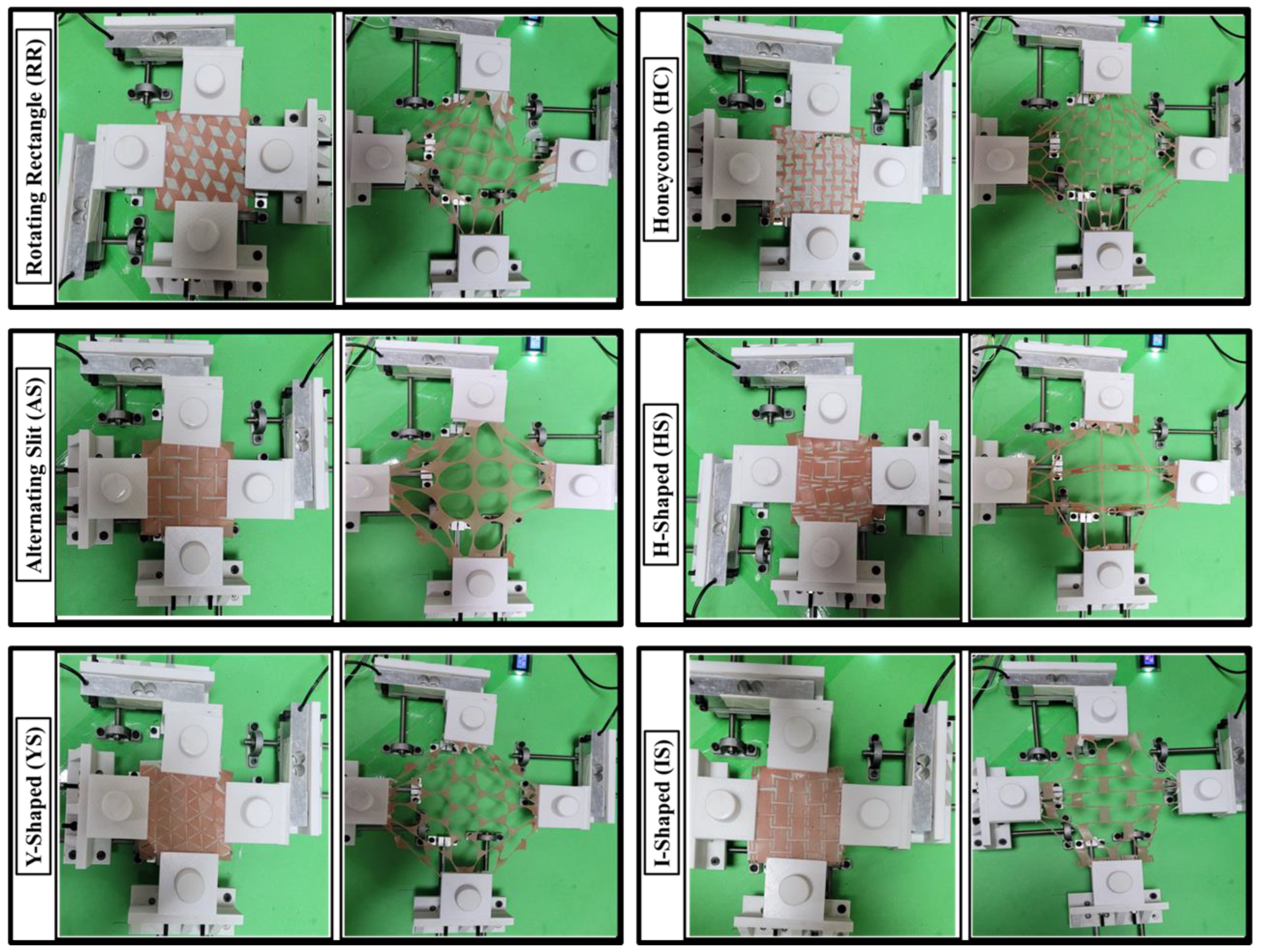 Ebj 04 00011 g005 Ebj 04 00011 g005