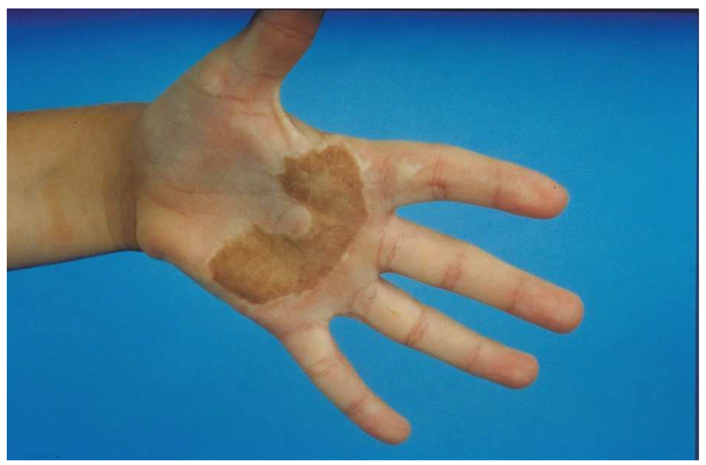 Ebj 04 00024 g004 Ebj 04 00024 g004