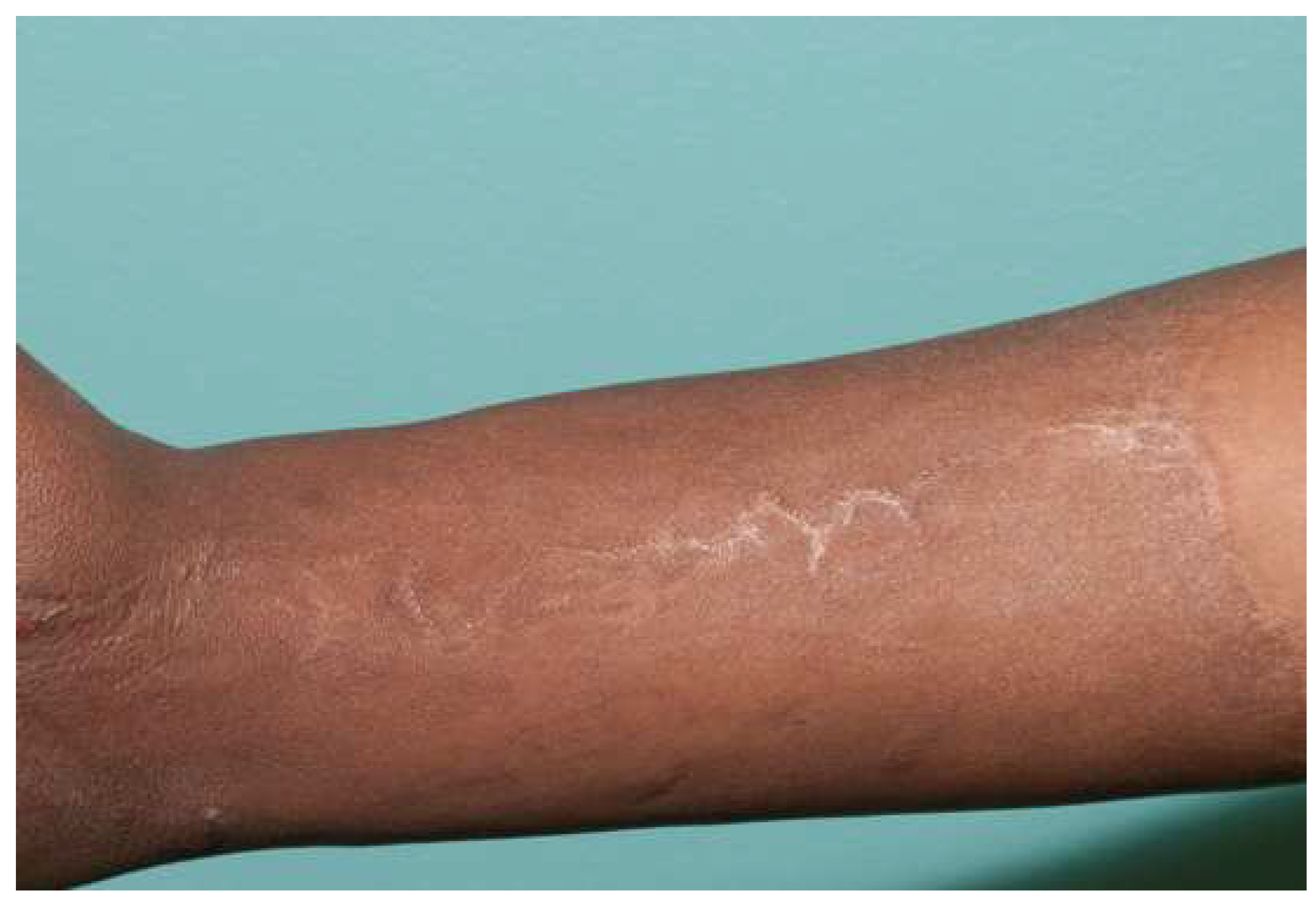 Ebj 04 00024 g007 Ebj 04 00024 g007