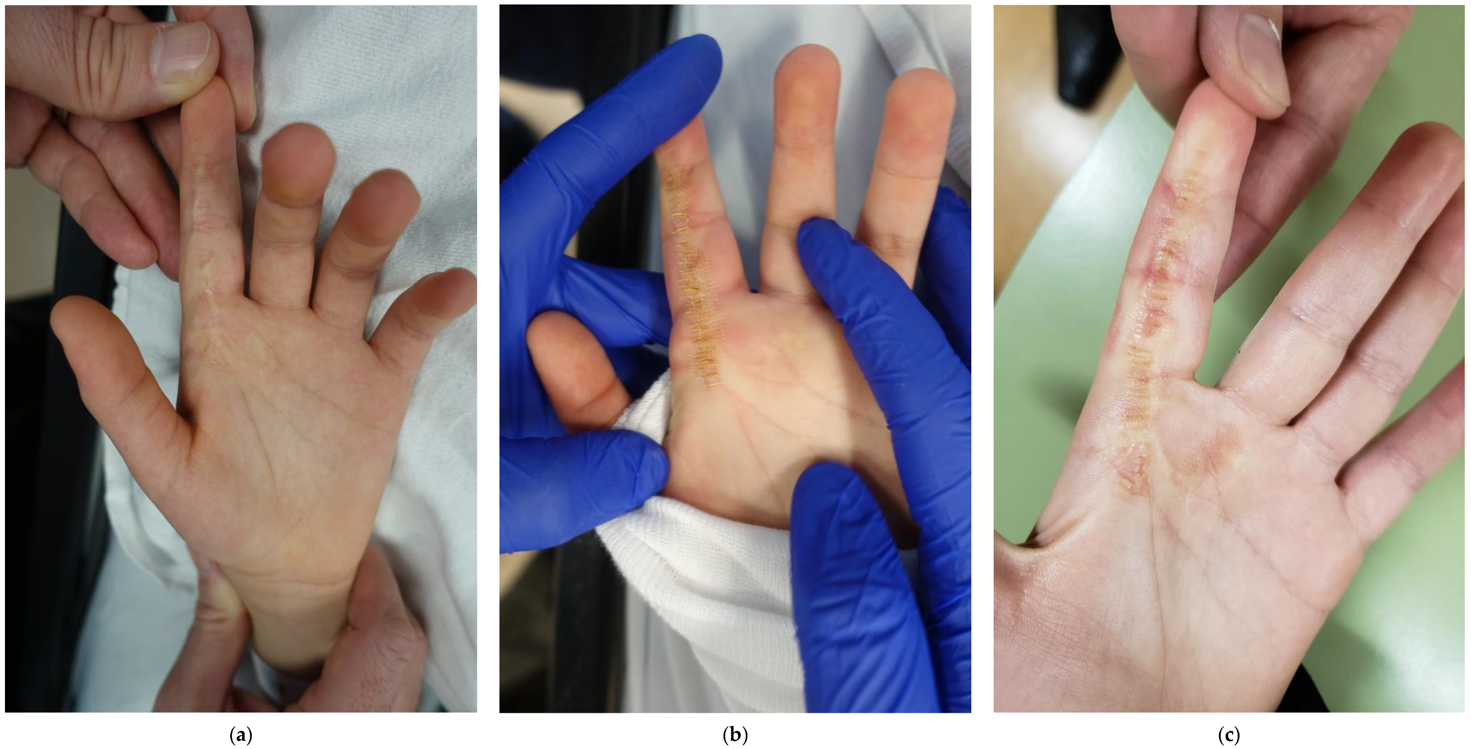 Ebj 04 00027 g002 Ebj 04 00027 g002