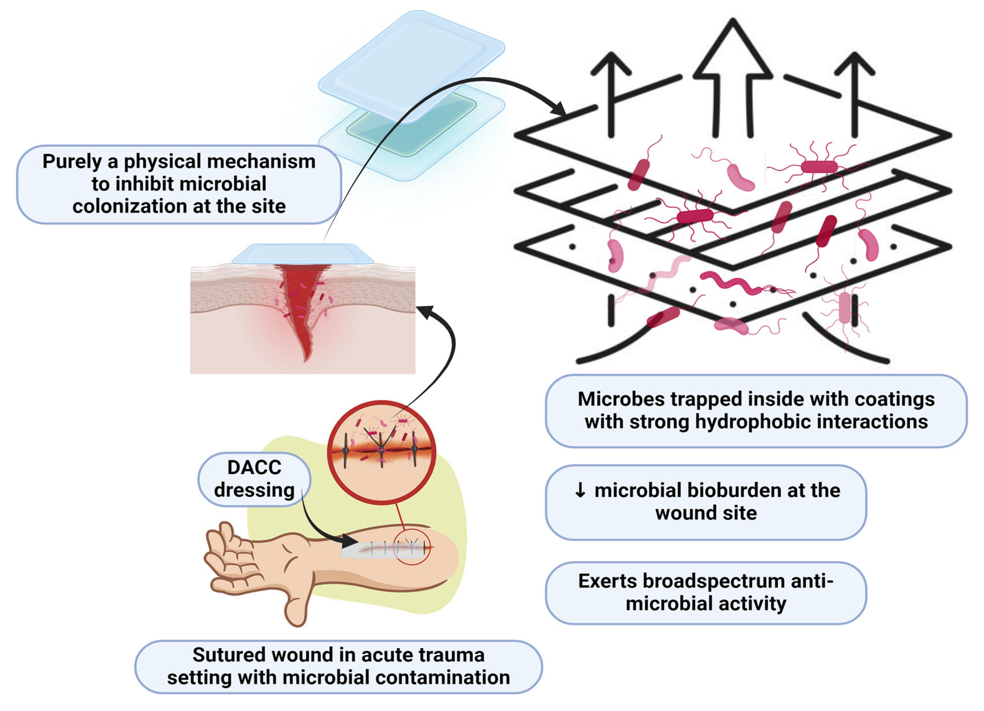 Ebj 06 00001 g001 Ebj 06 00001 g001