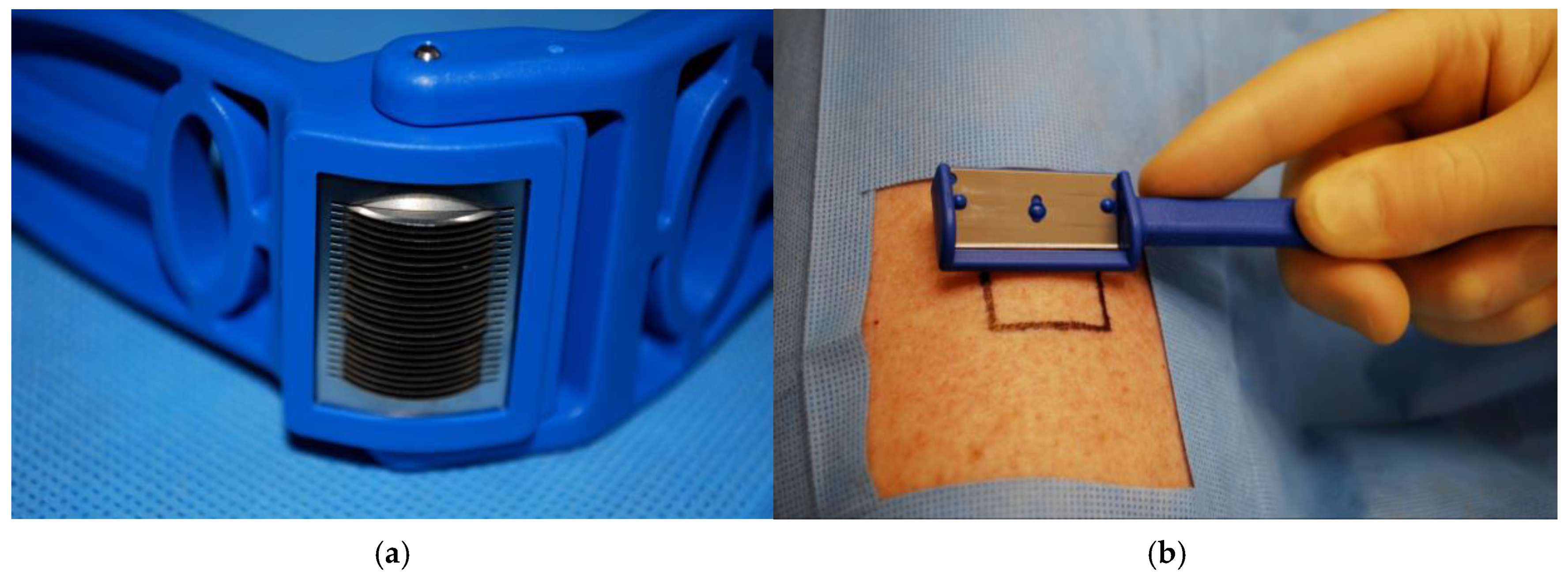 Ebj 06 00013 g002 Ebj 06 00013 g002