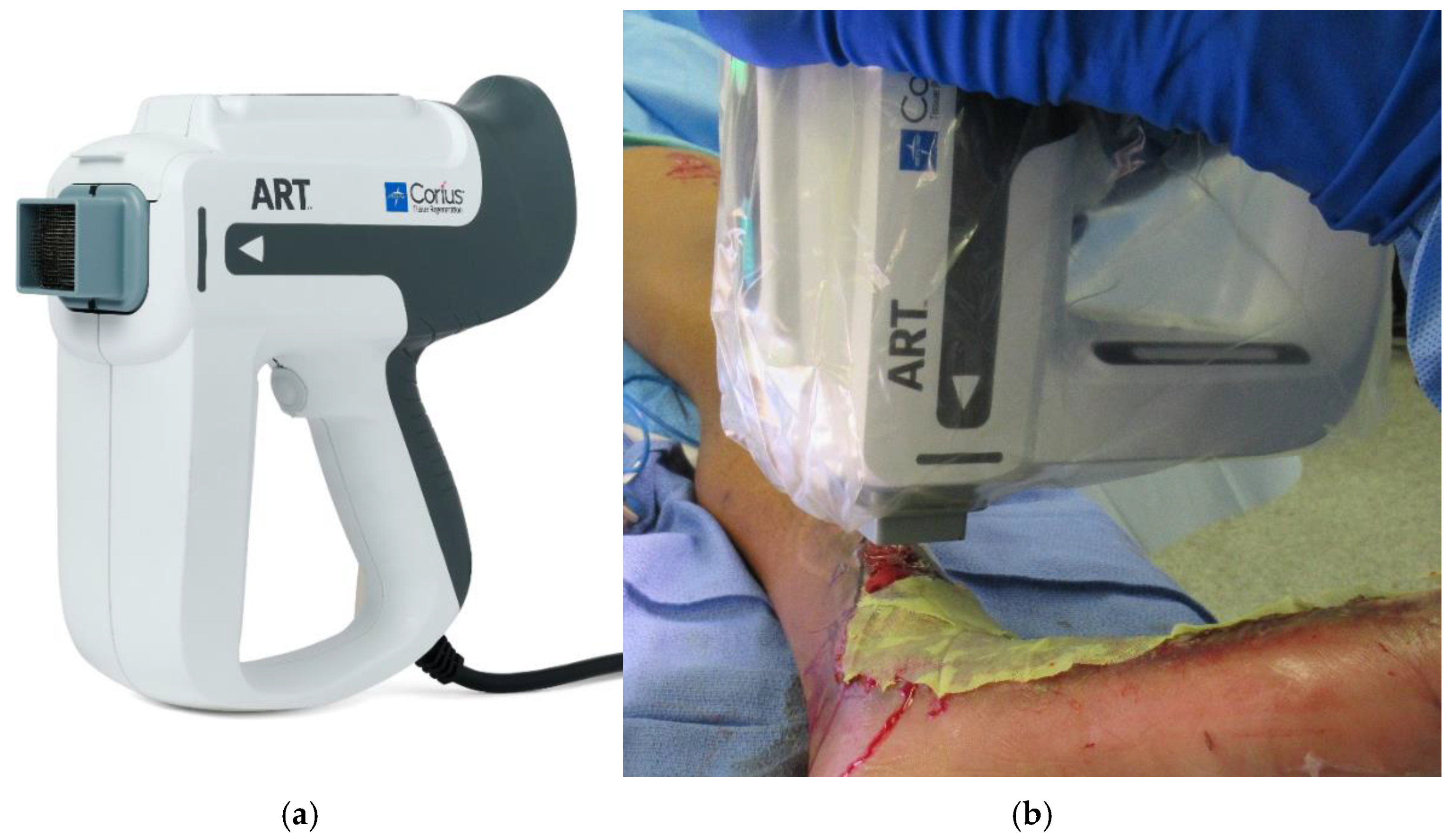 Ebj 06 00013 g004 Ebj 06 00013 g004