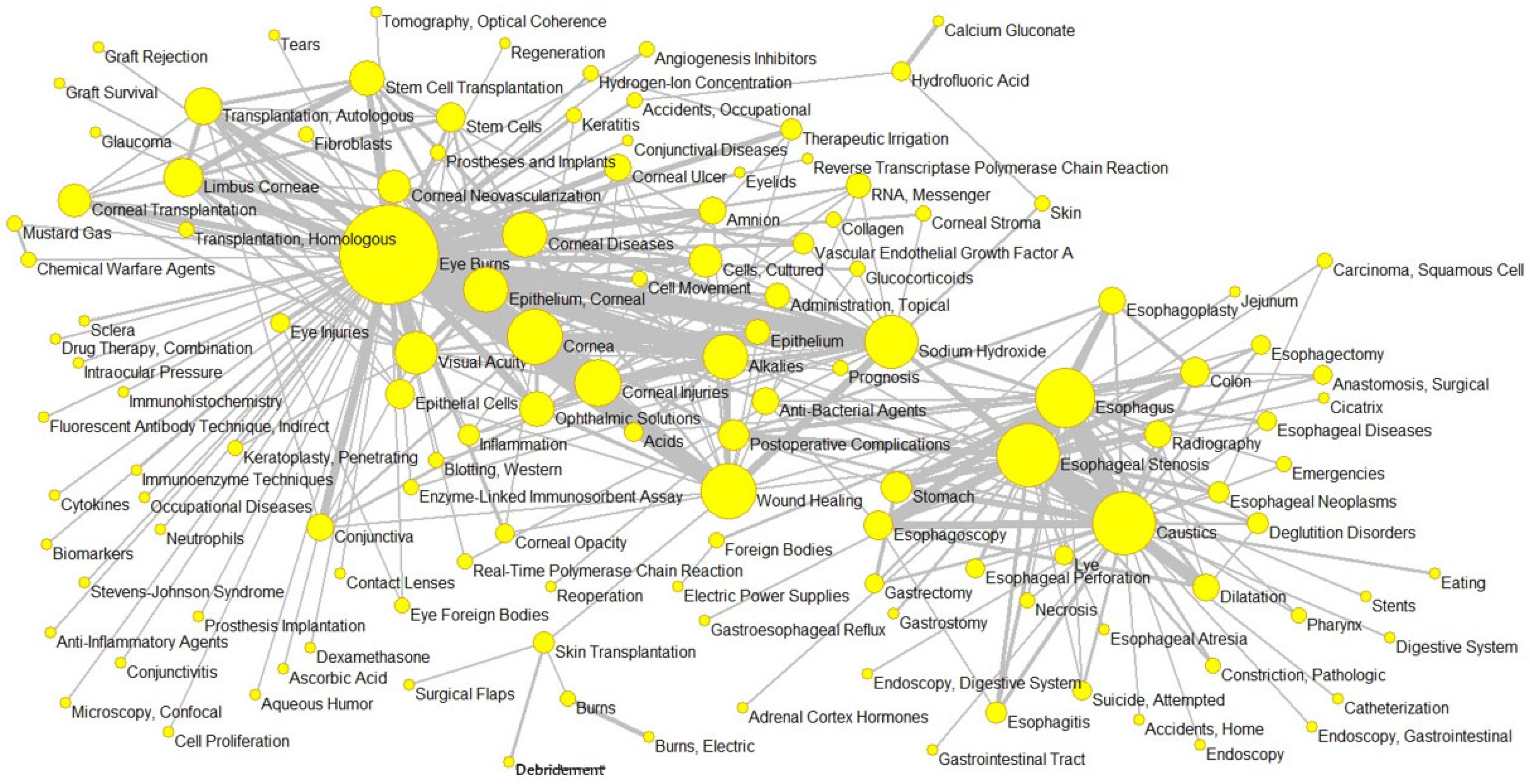 Ebj 06 00051 g004 Ebj 06 00051 g004