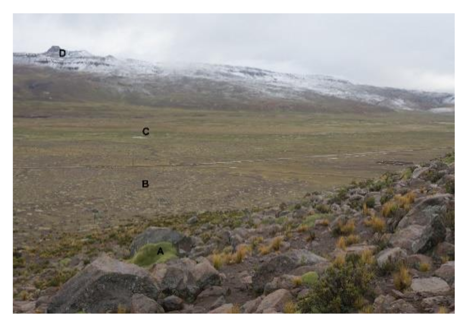 Ecologies 02 00005 g003