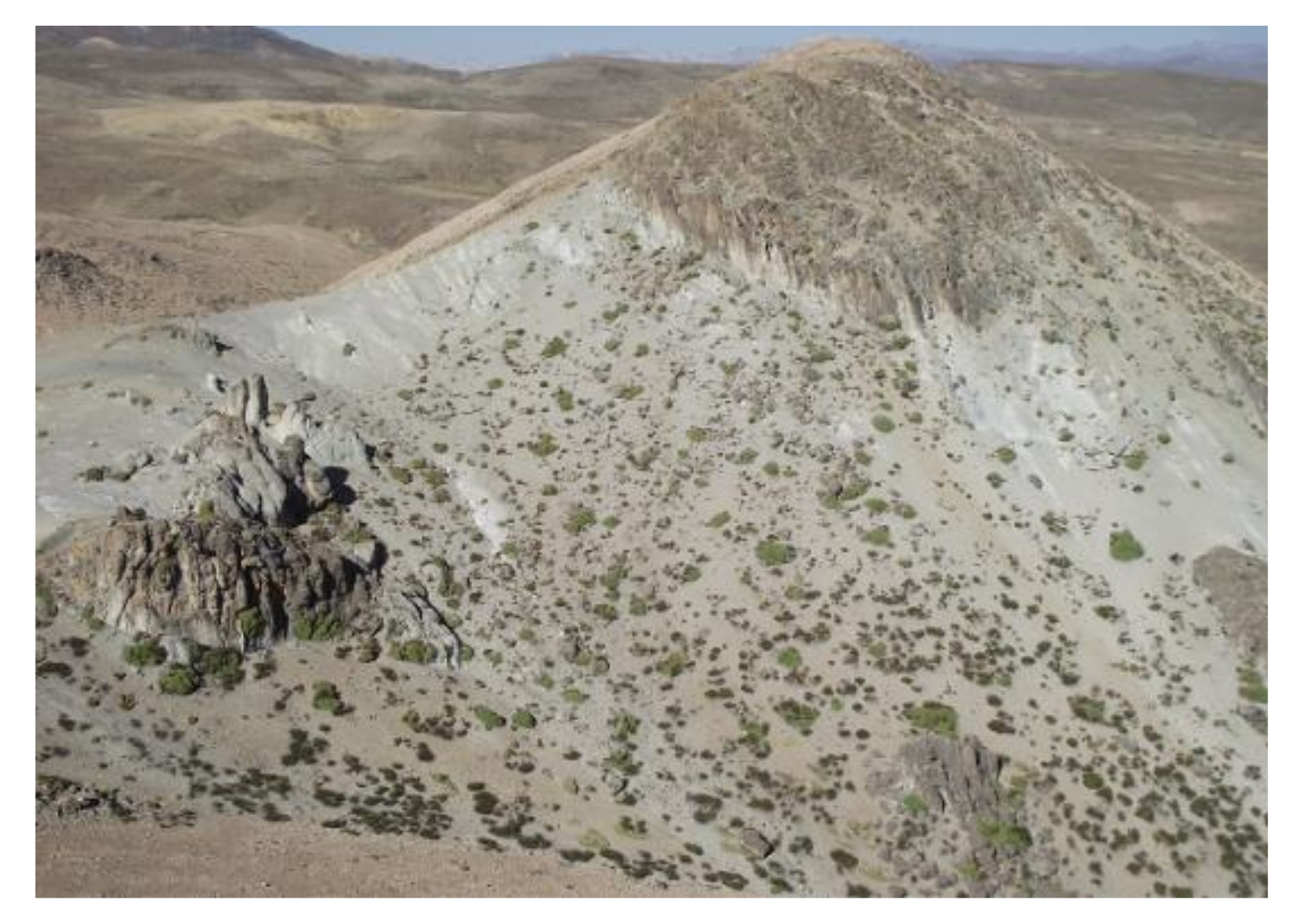 Ecologies 02 00005 g005