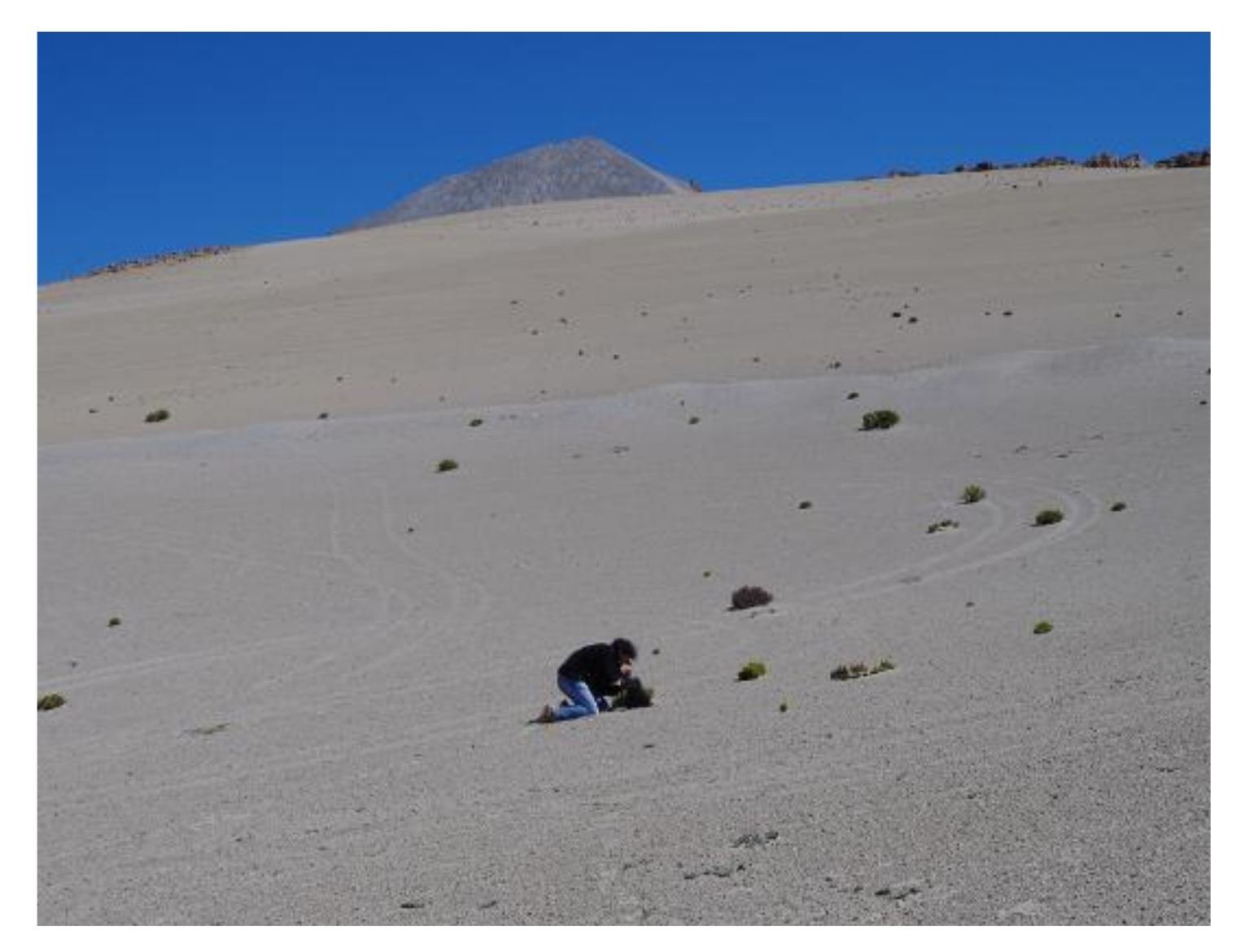 Ecologies 02 00005 g007