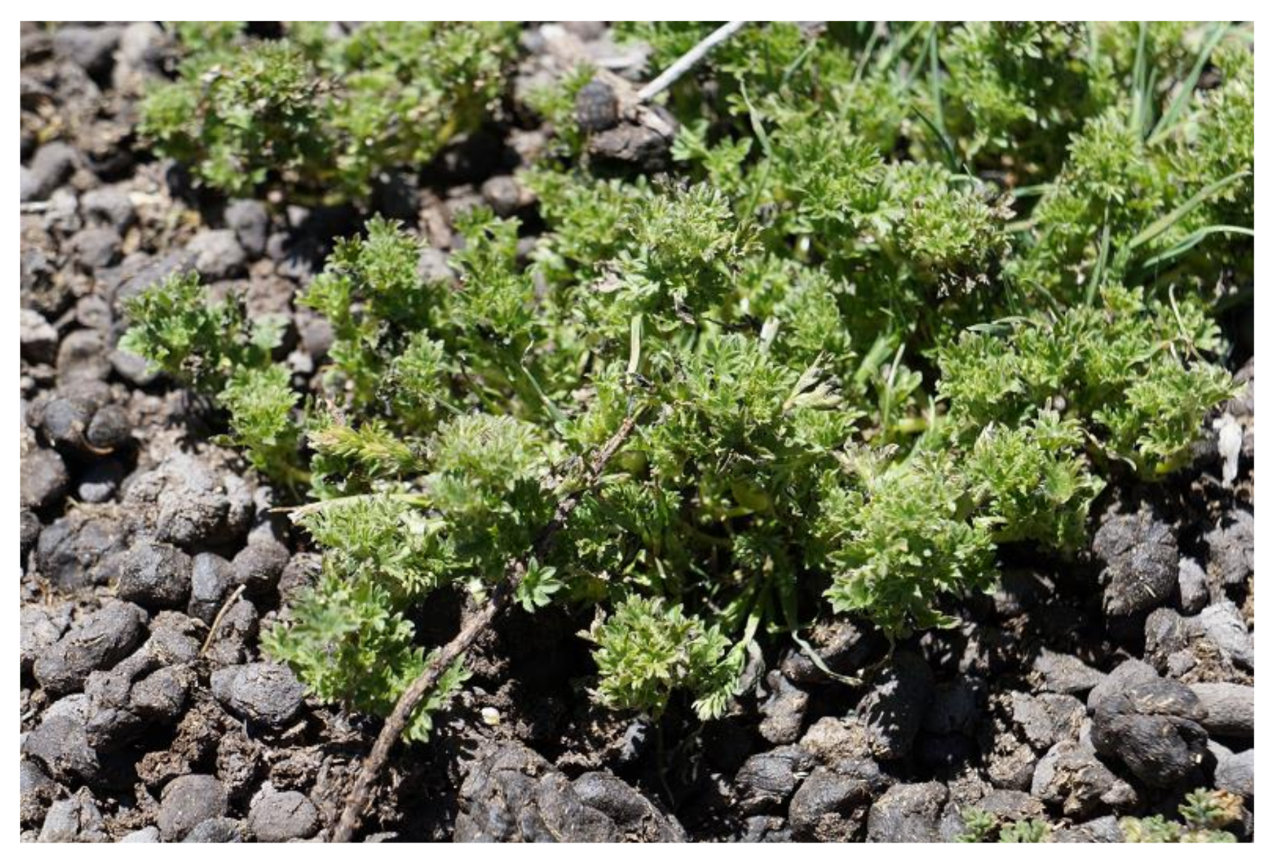 Ecologies 02 00005 g008