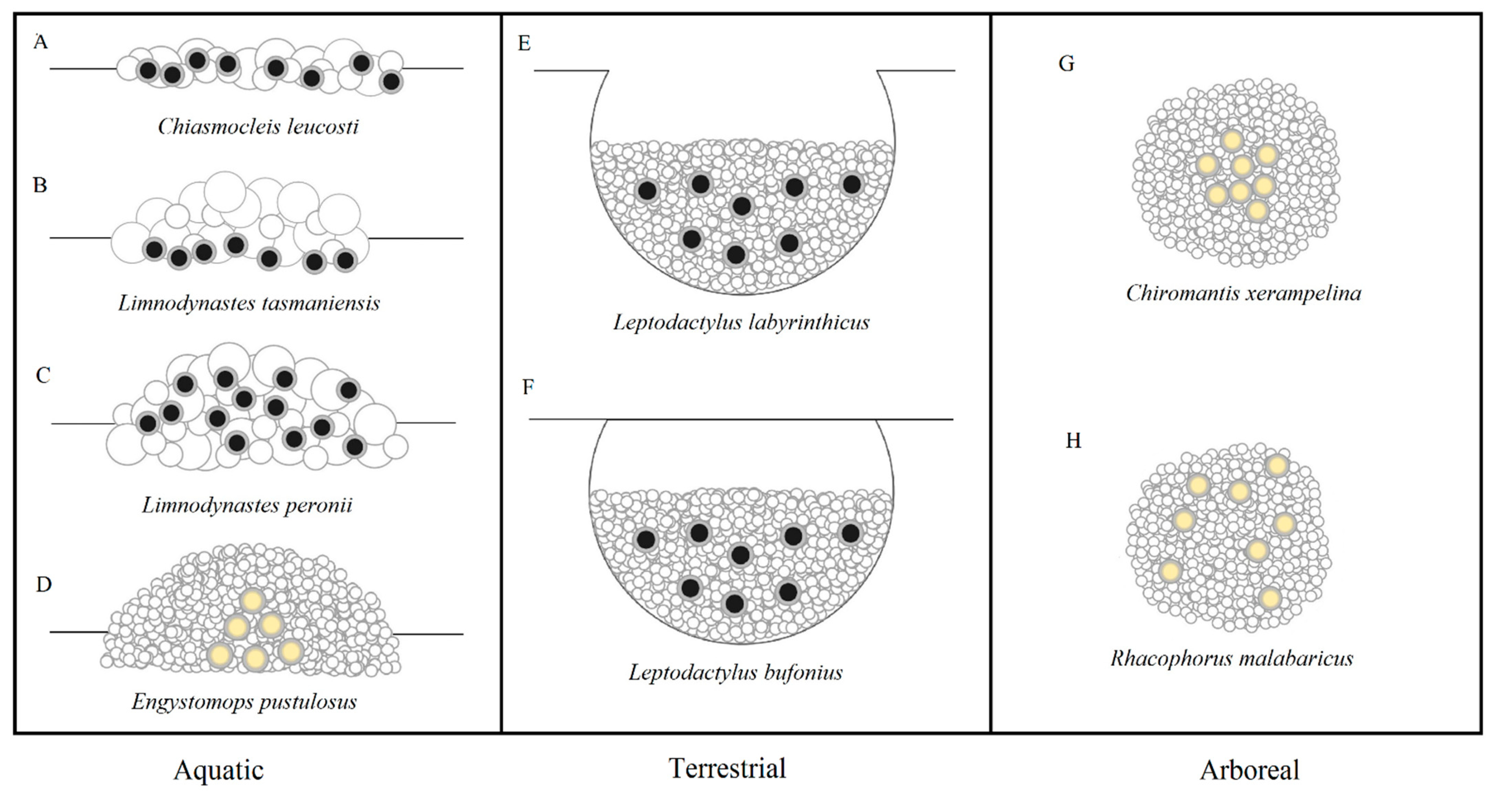 Ecologies 02 00006 g001 Ecologies 02 00006 g001