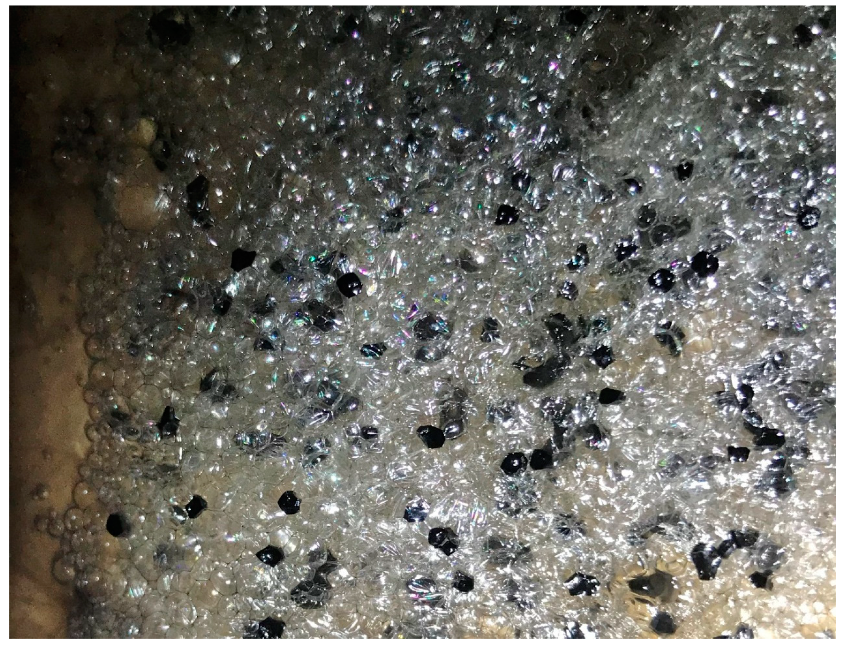 Ecologies 02 00006 g003 Ecologies 02 00006 g003