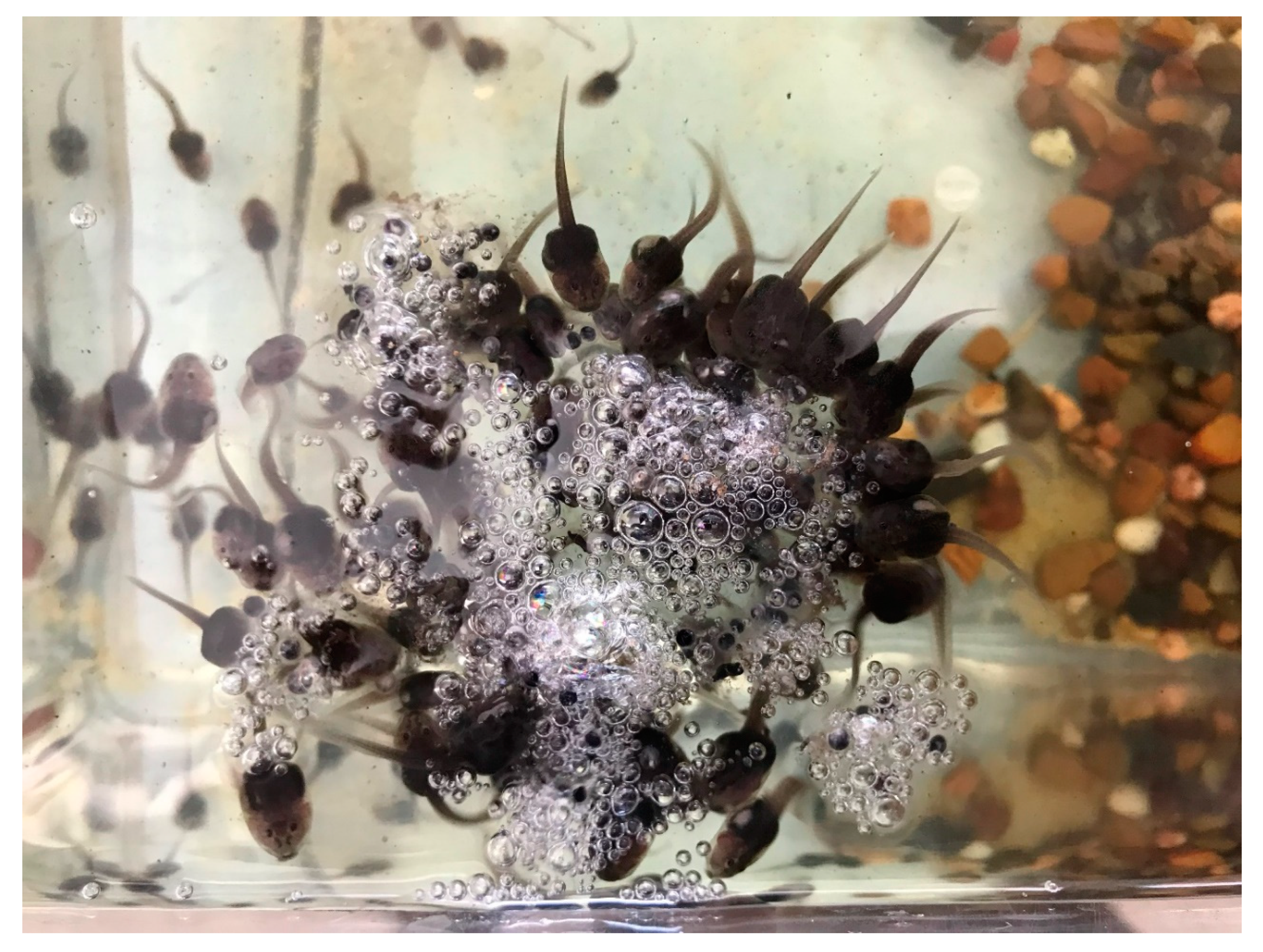 Ecologies 02 00006 g005 Ecologies 02 00006 g005