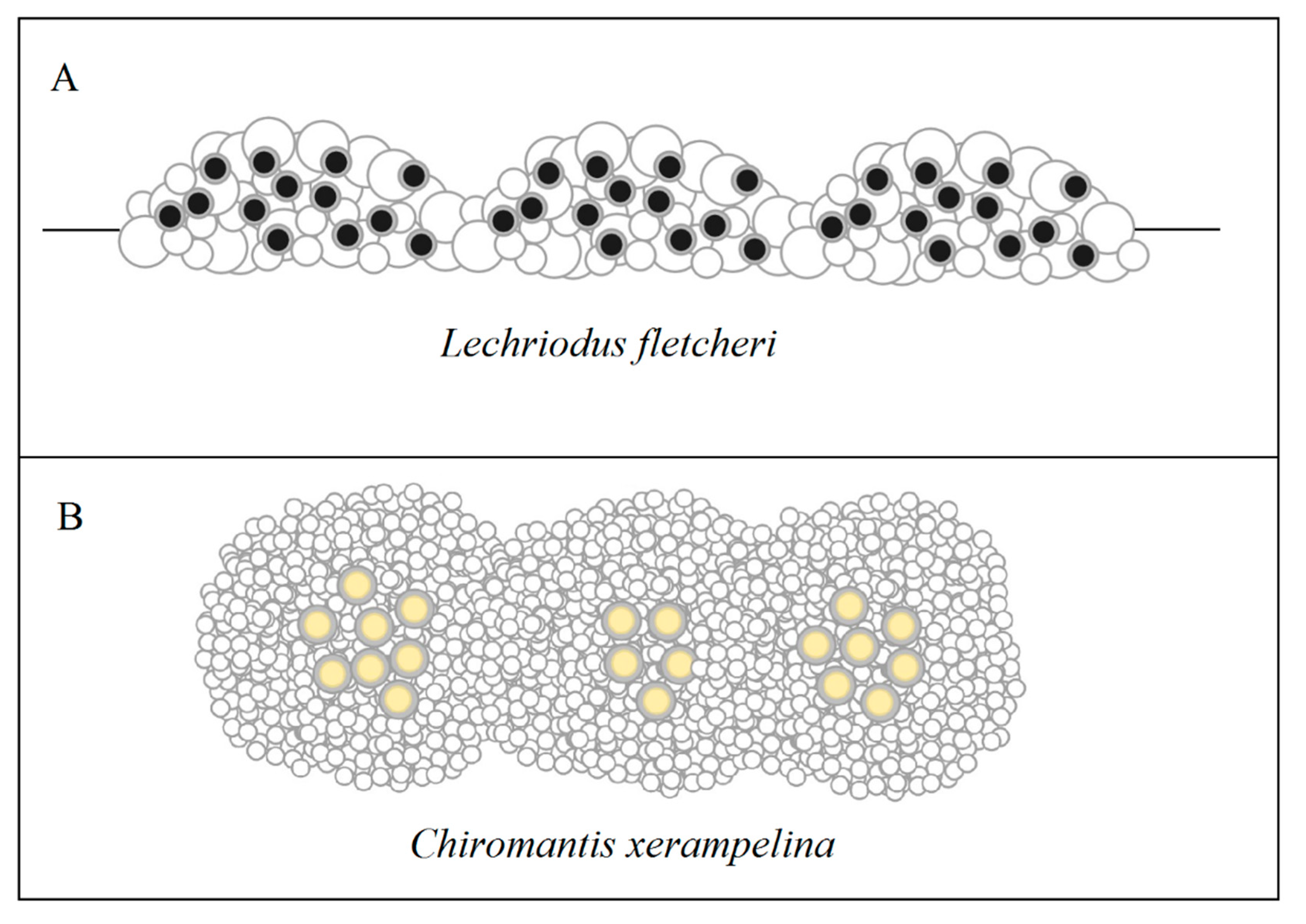 Ecologies 02 00006 g008 Ecologies 02 00006 g008