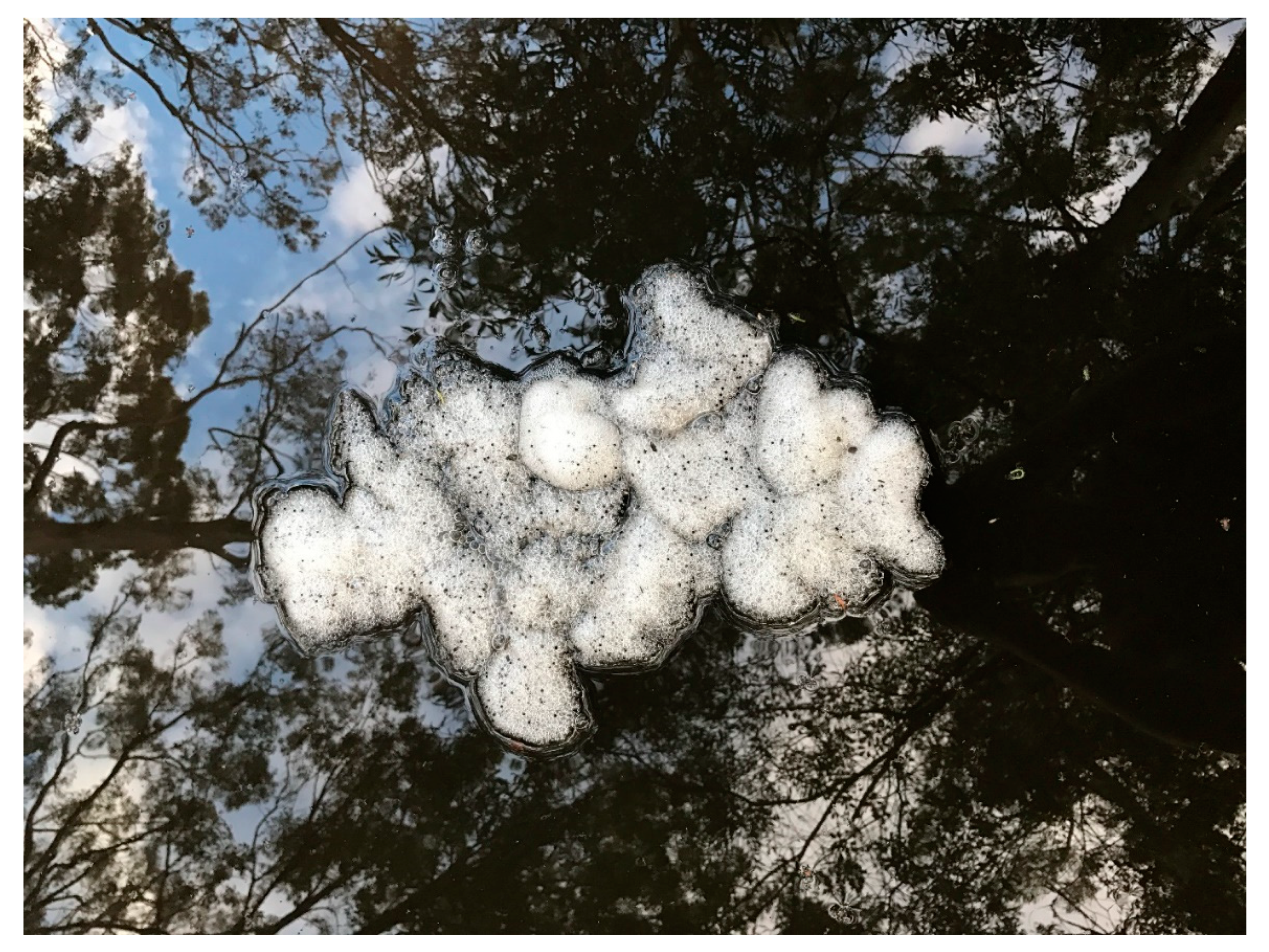 Ecologies 02 00006 g009 Ecologies 02 00006 g009