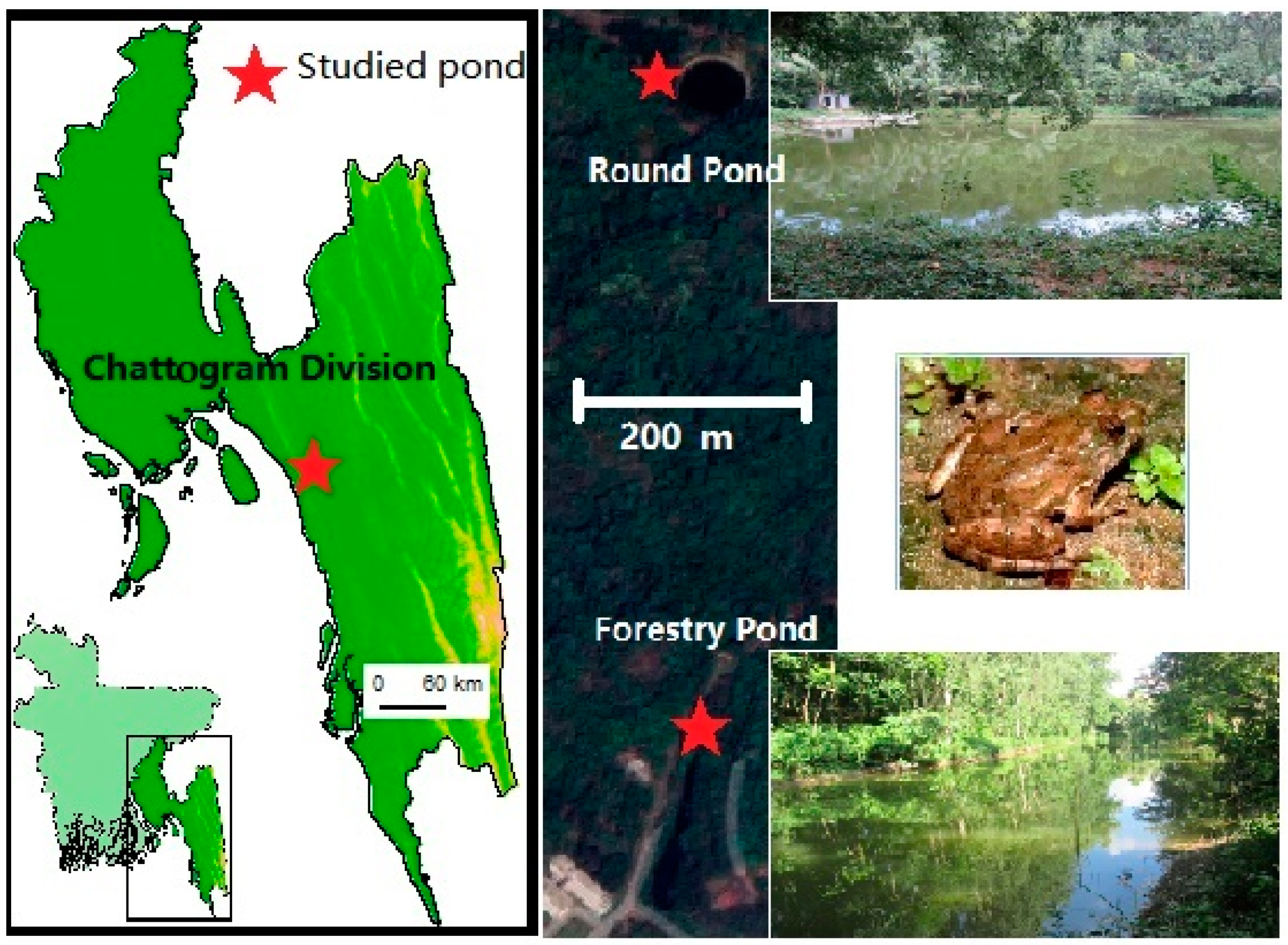 Ecologies 02 00007 g001 Ecologies 02 00007 g001