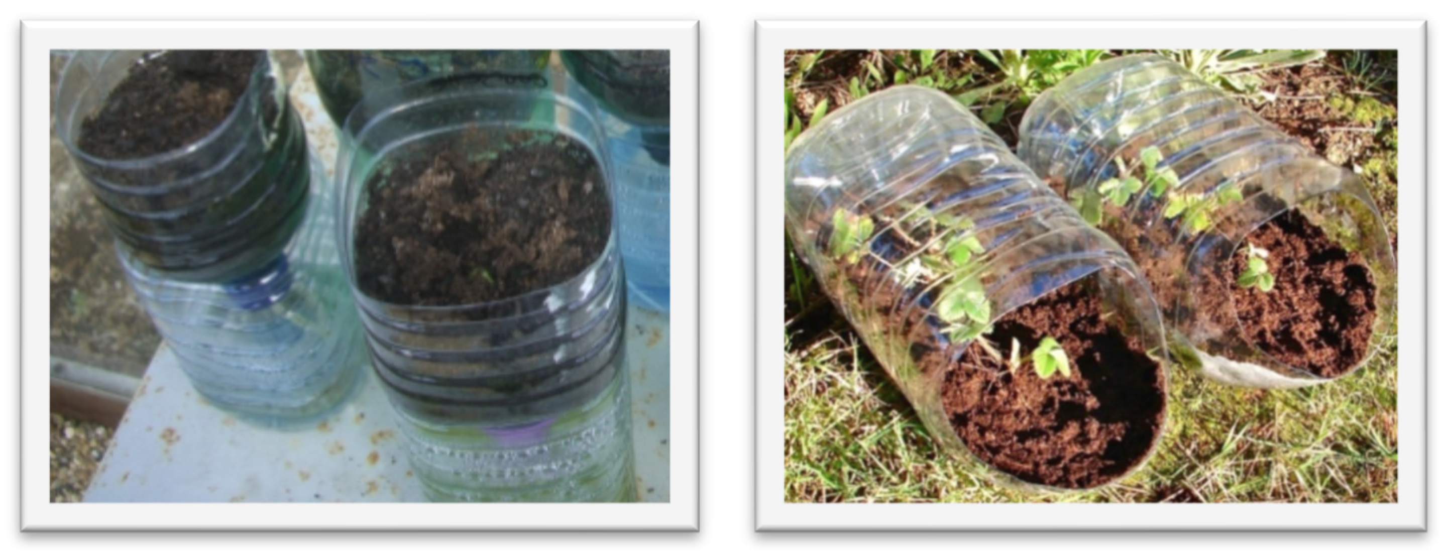 Ecologies 02 00014 g006