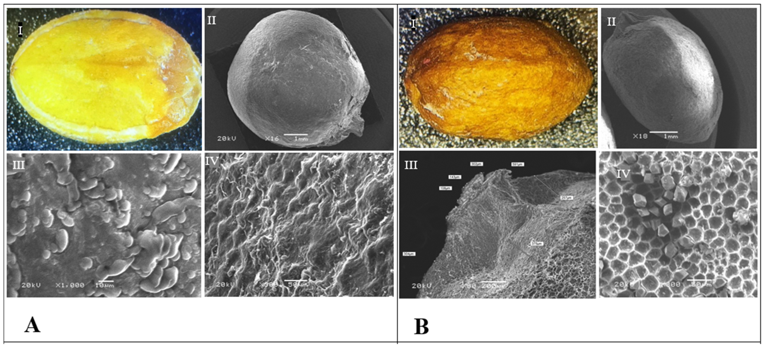 Ecologies 03 00005 g011a Ecologies 03 00005 g011a