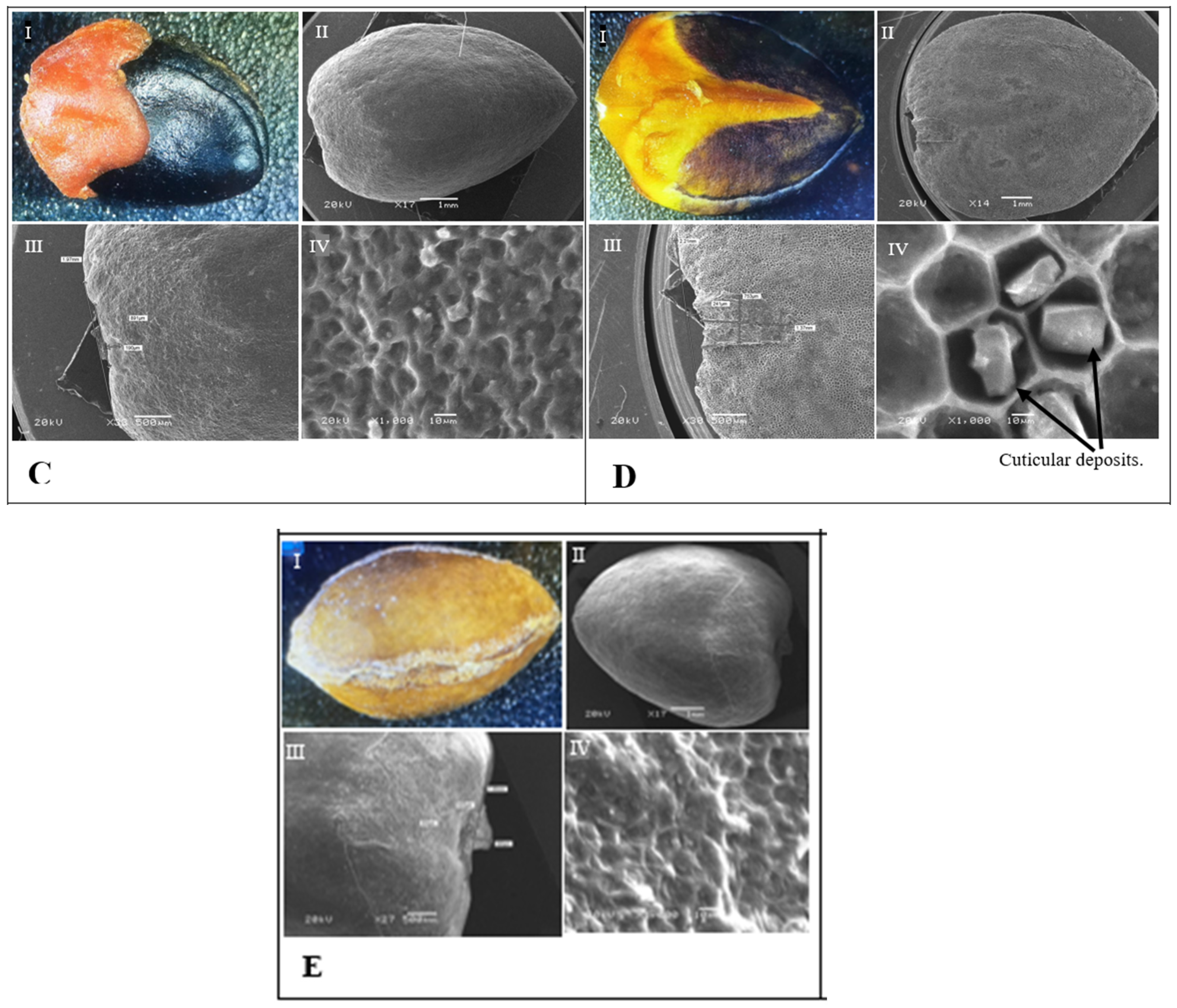 Ecologies 03 00005 g011b Ecologies 03 00005 g011b