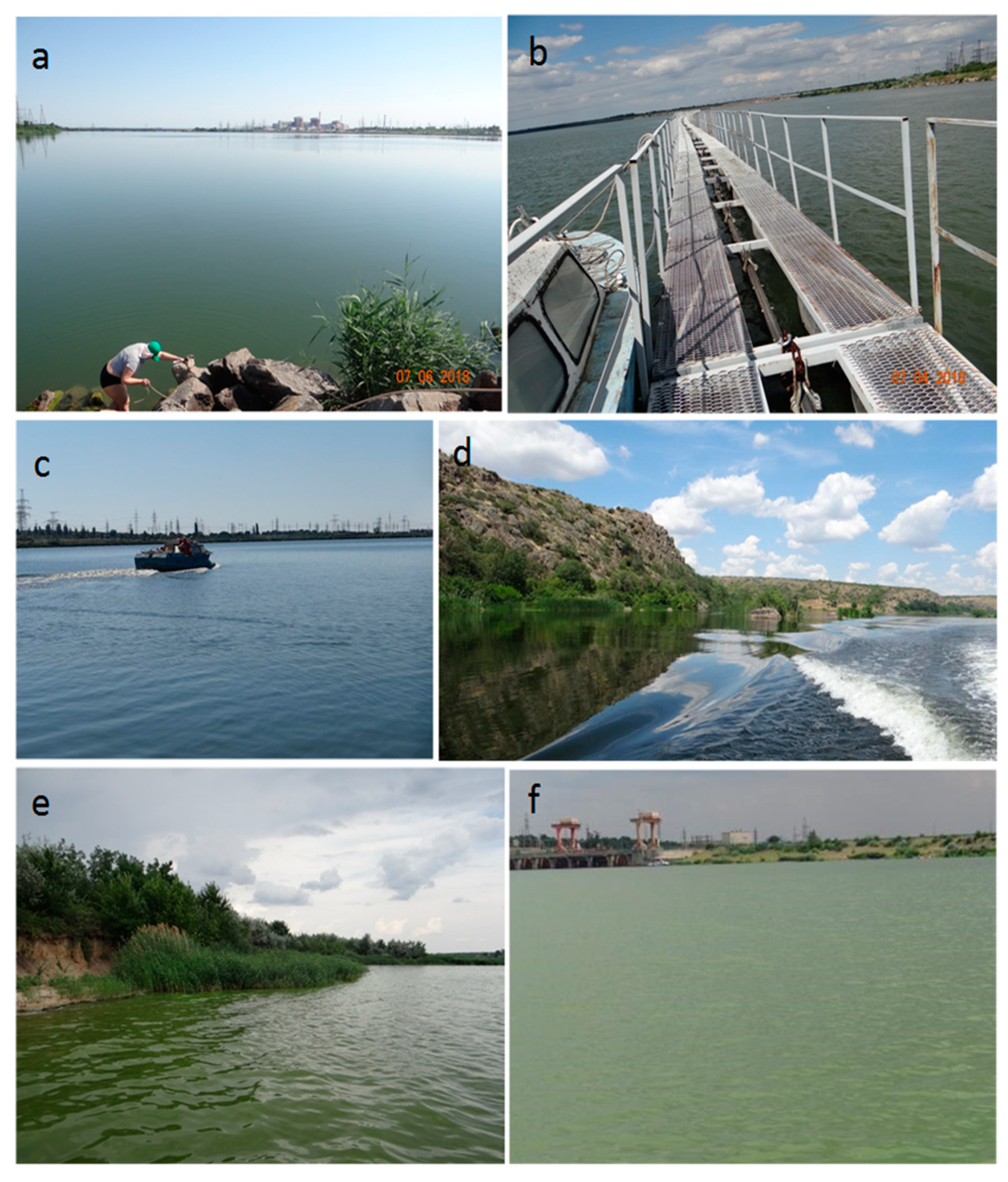 Ecologies 03 00009 g002 Ecologies 03 00009 g002